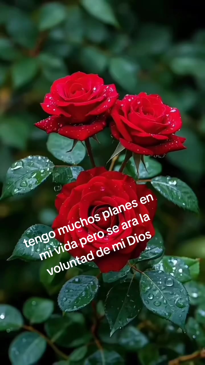 @Vilma Mallitasig 🥰