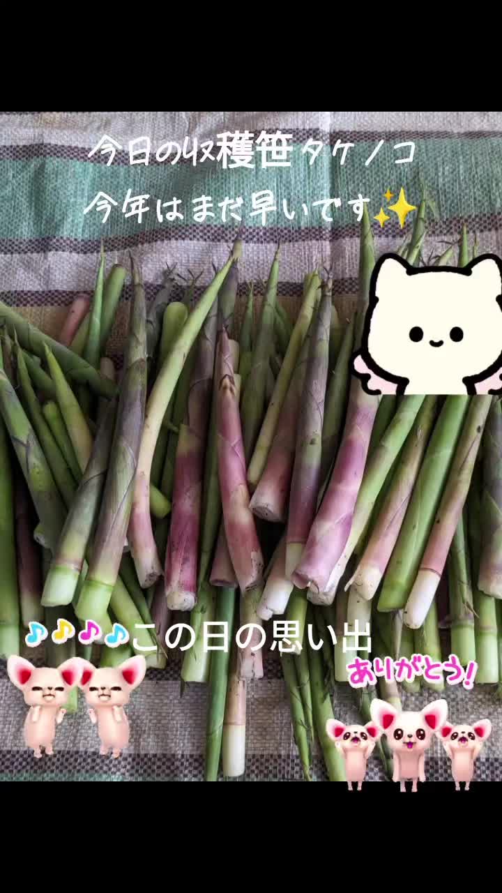 @ๆๅญ๐๐ฌ๐ง๐