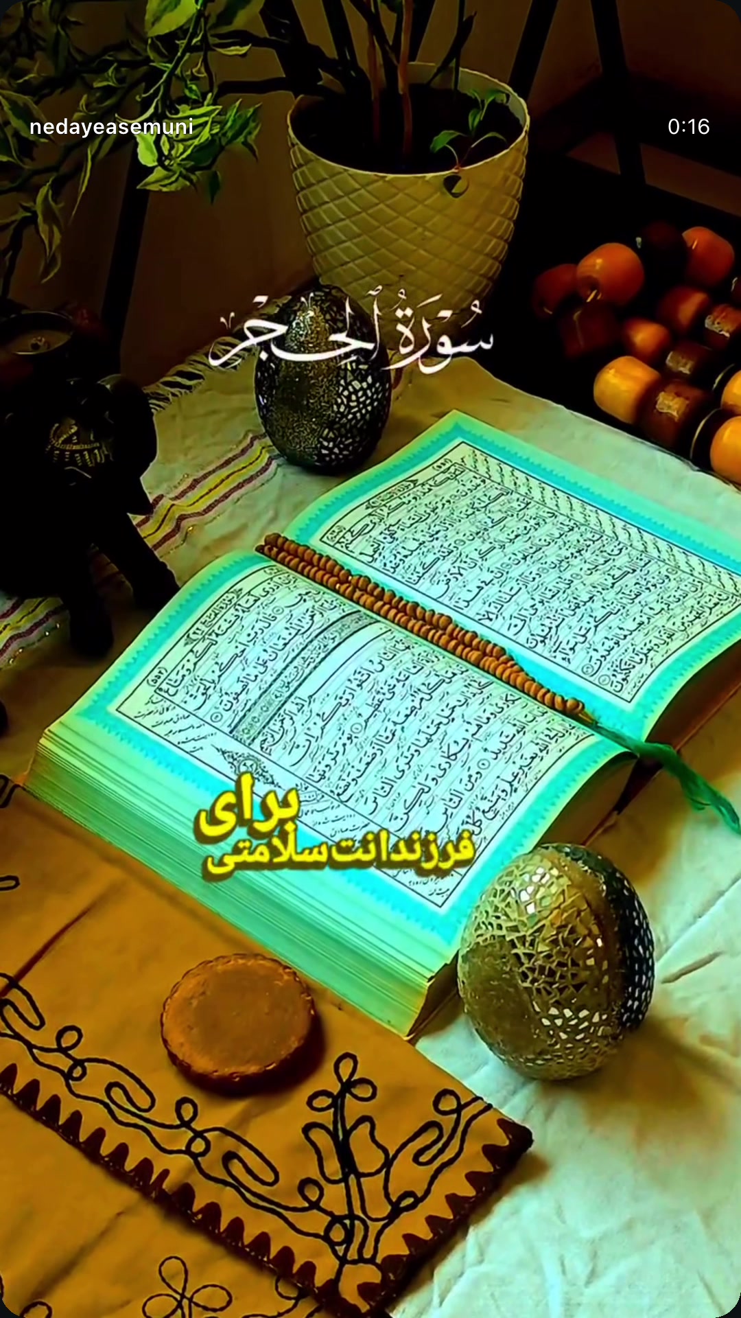 @💙✨ 𓆩شادُخت بغلان𓆪 🧿