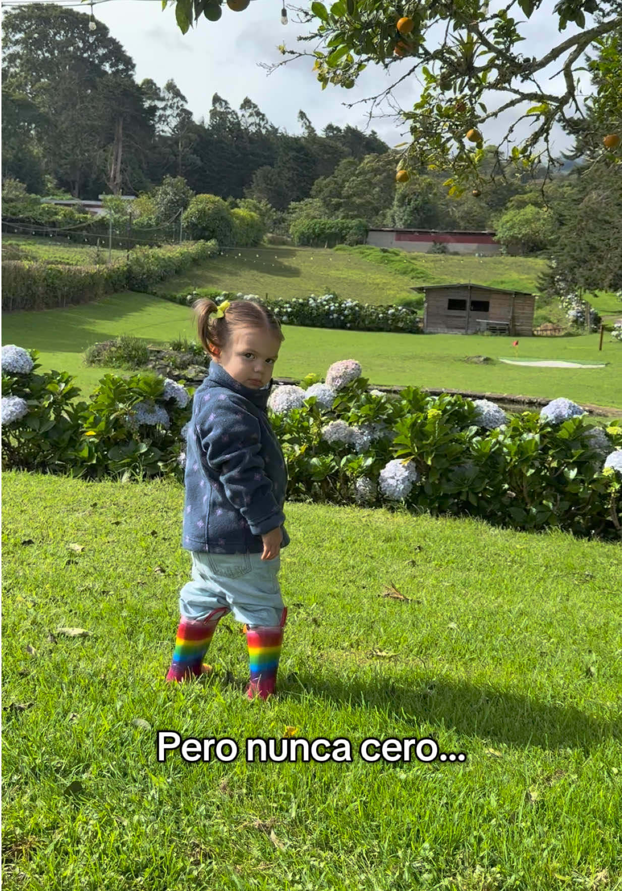 @Laura Ortega