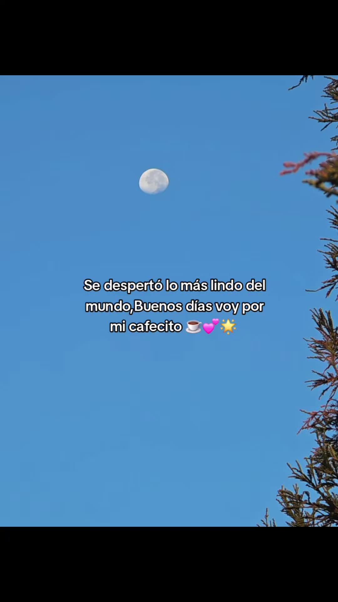 @🖤🦋FER_BRIZZO LA LOBA 🐺☀︎︎☽︎