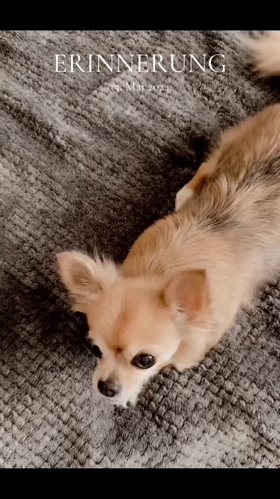 @Sandra ๐๐ค