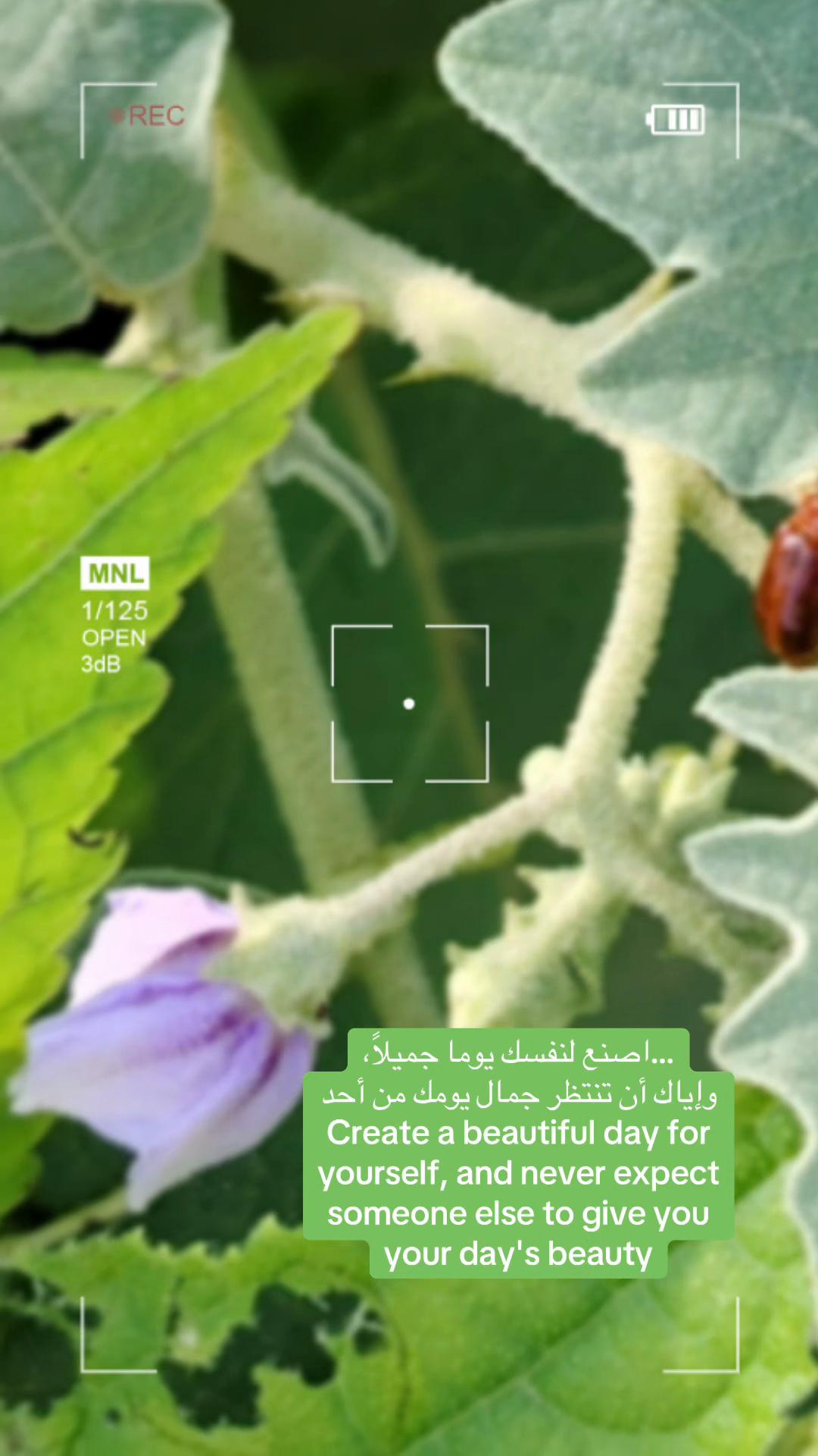 @🦅. ..⛓️&zwj;💥&hellip;🇴🇲🇹🇳
