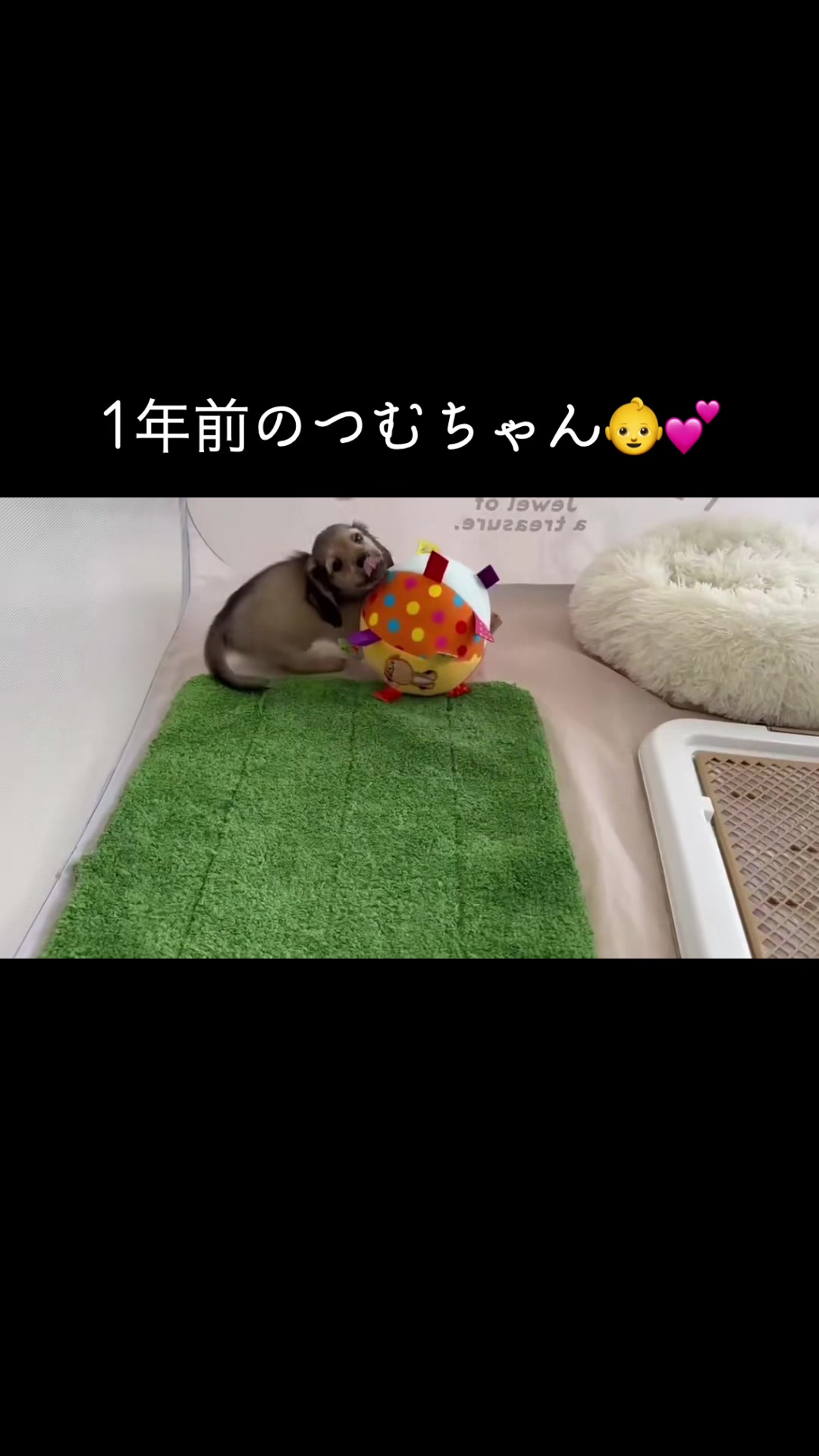 @ใใใ๐ซ๐