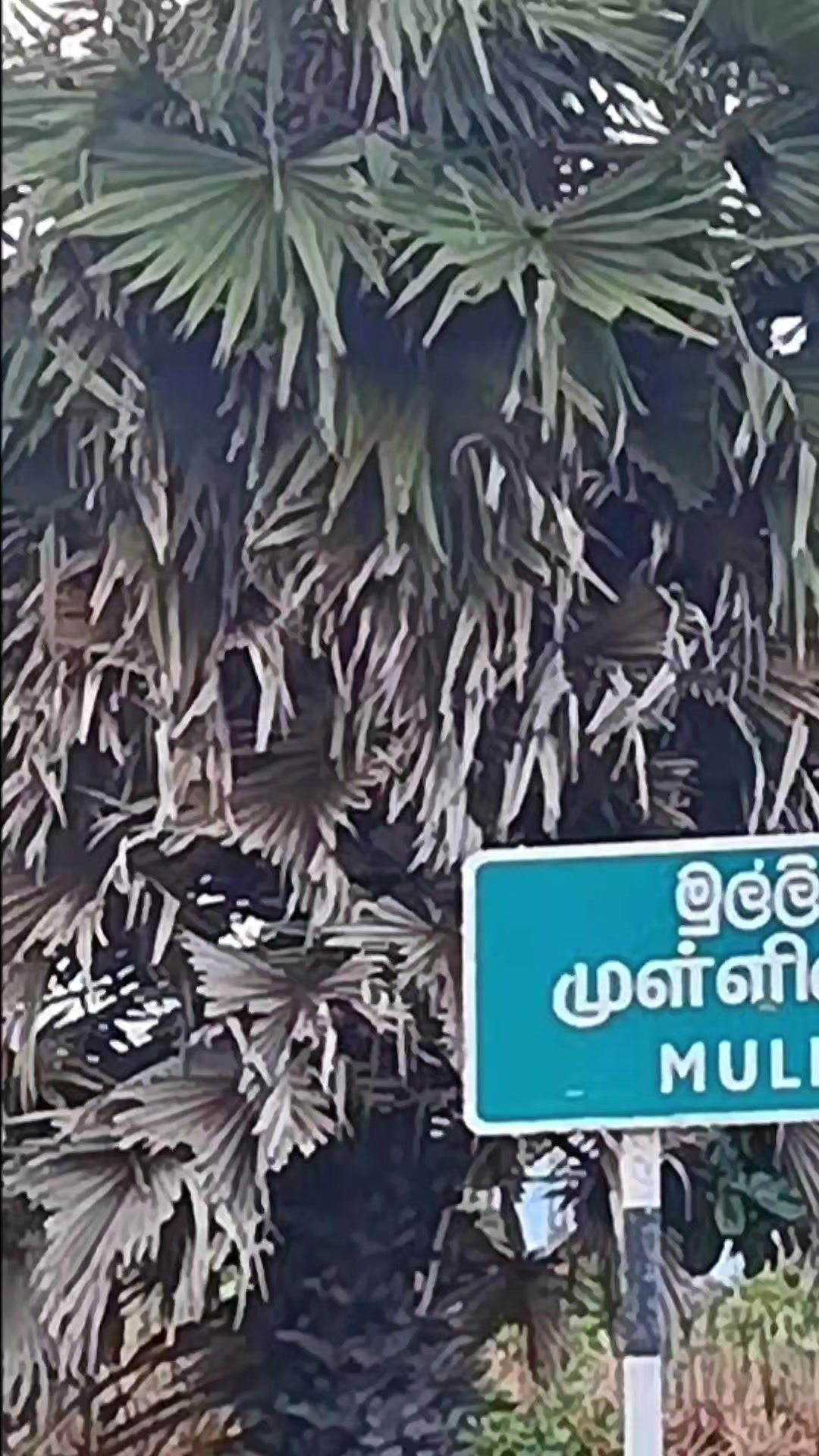 @அன்பு தோழி