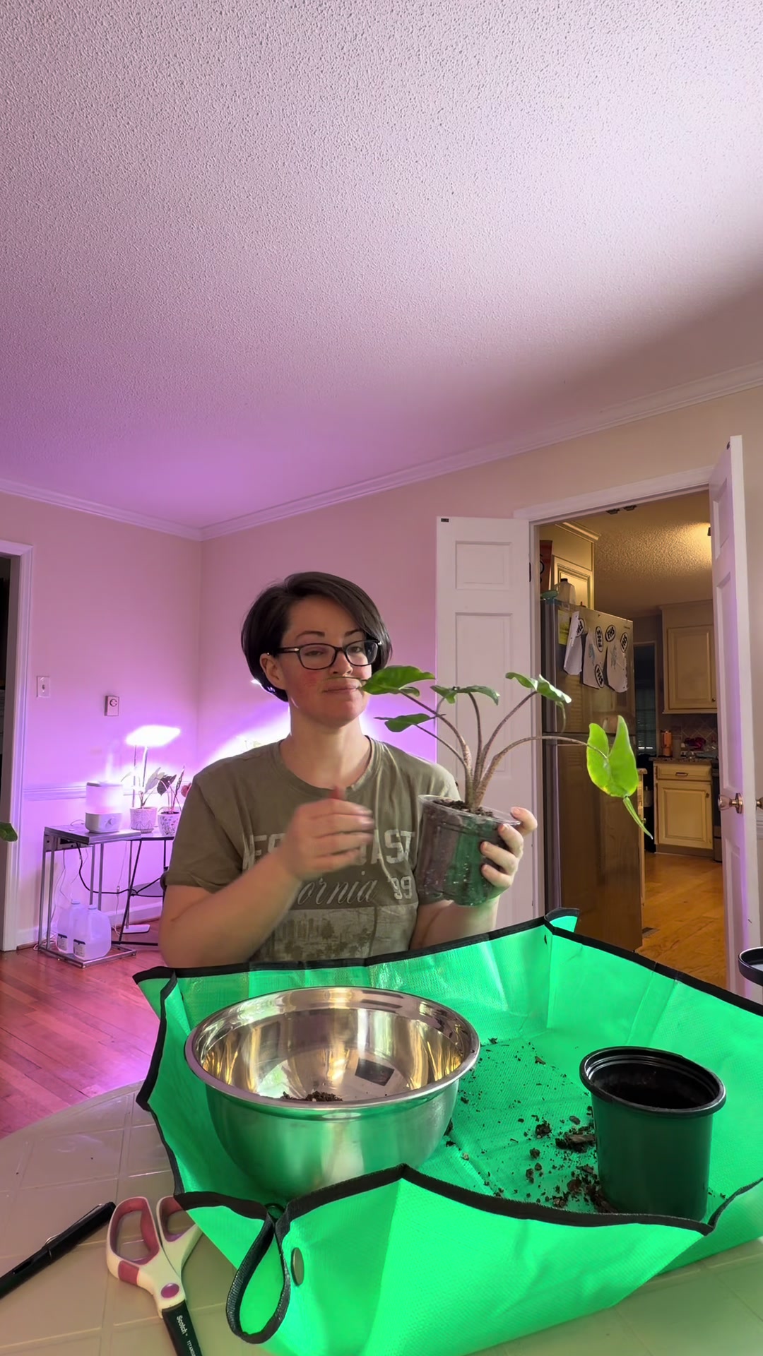 @HannahsManeAttraction