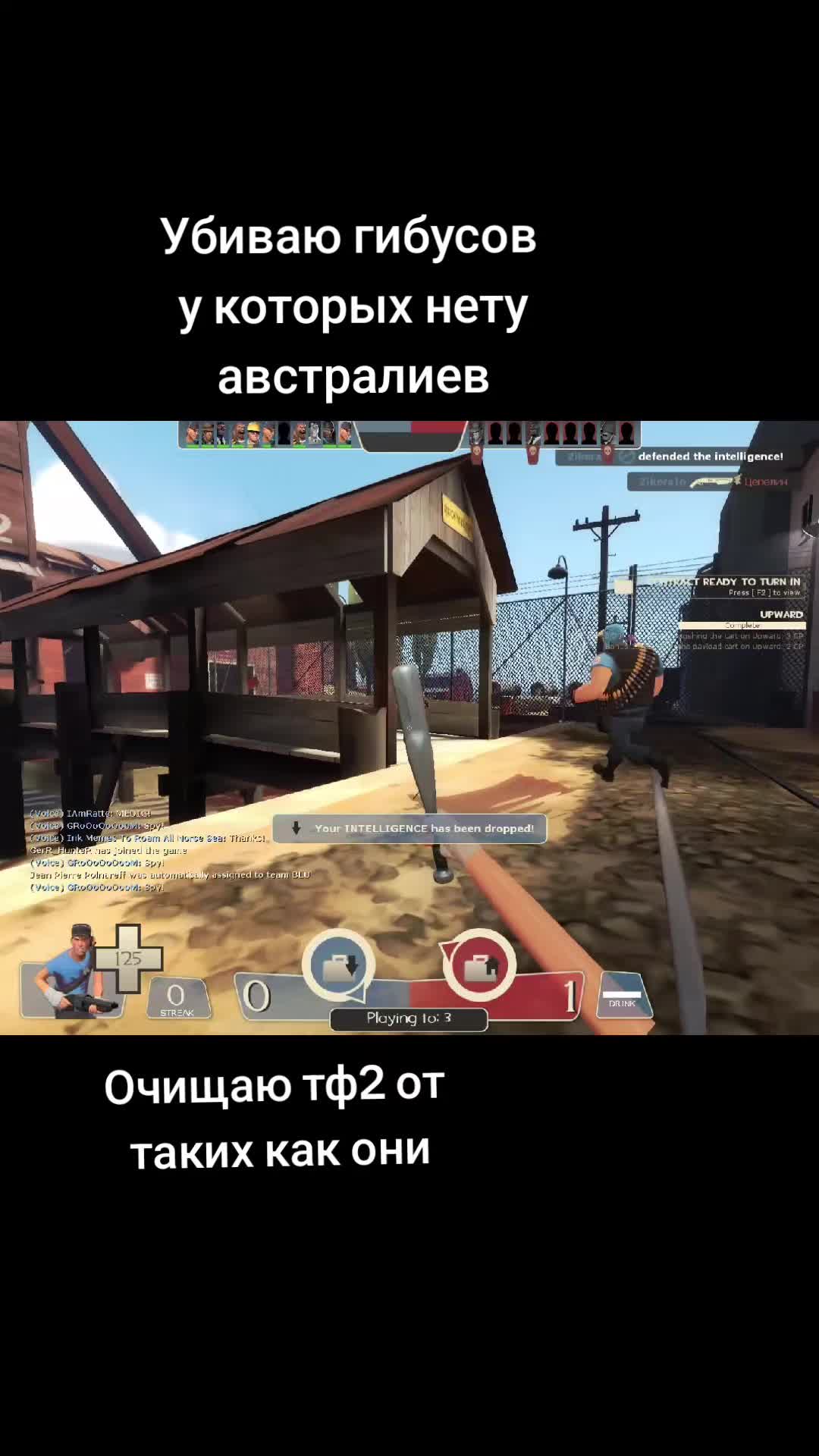 @лапушня