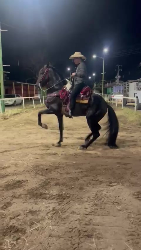 @K.borja🐴