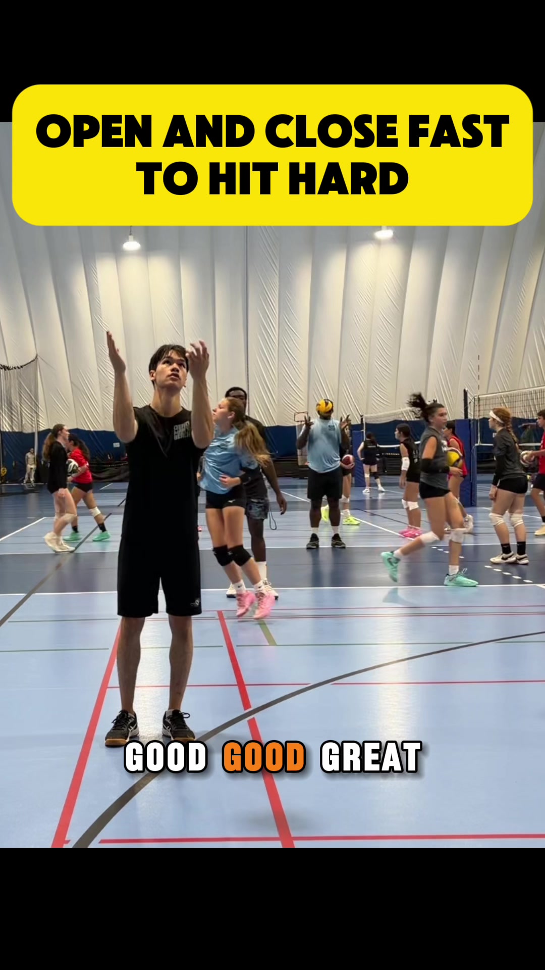 @Beastmode volleyball