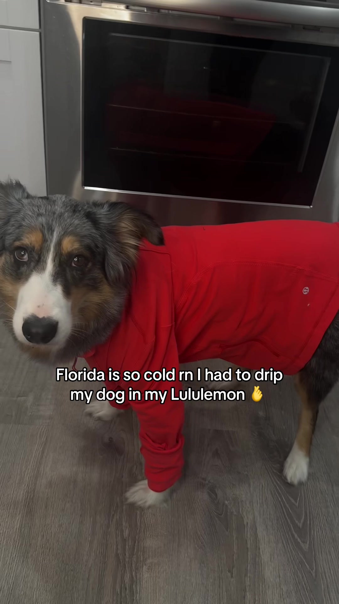 @lexislola