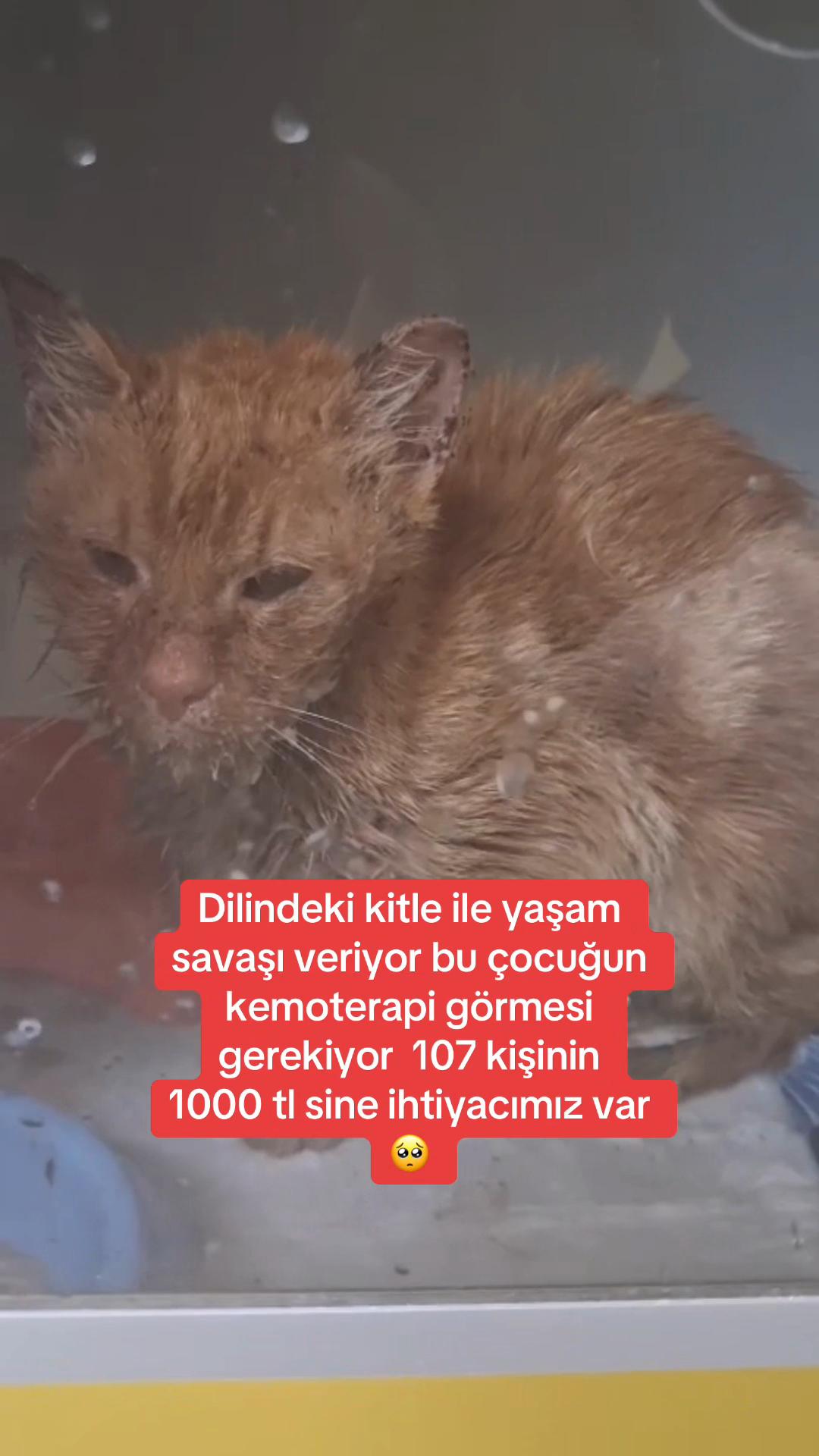 @Yesiminpatileri61