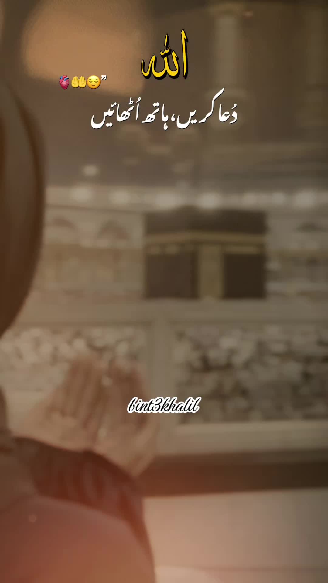 @Umaira