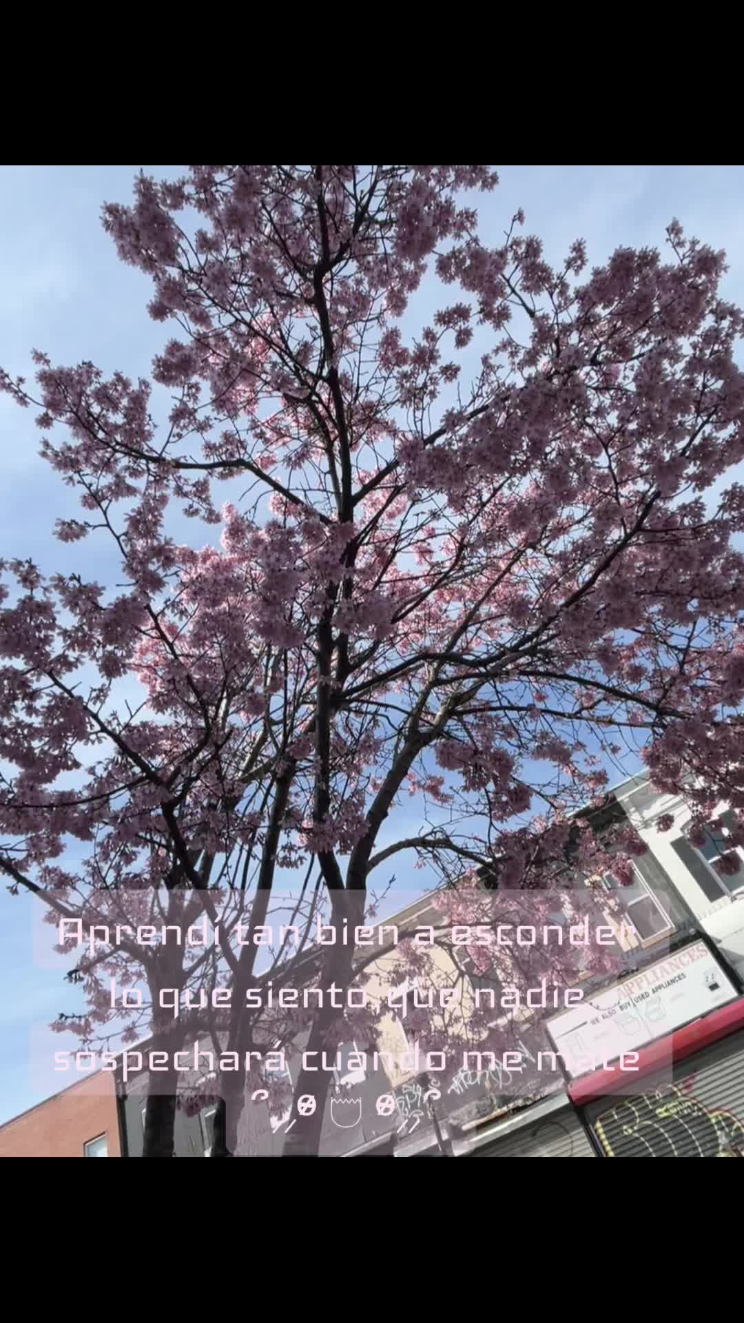 @▄︻デн&alpha;&iota;я&sigma;══━一