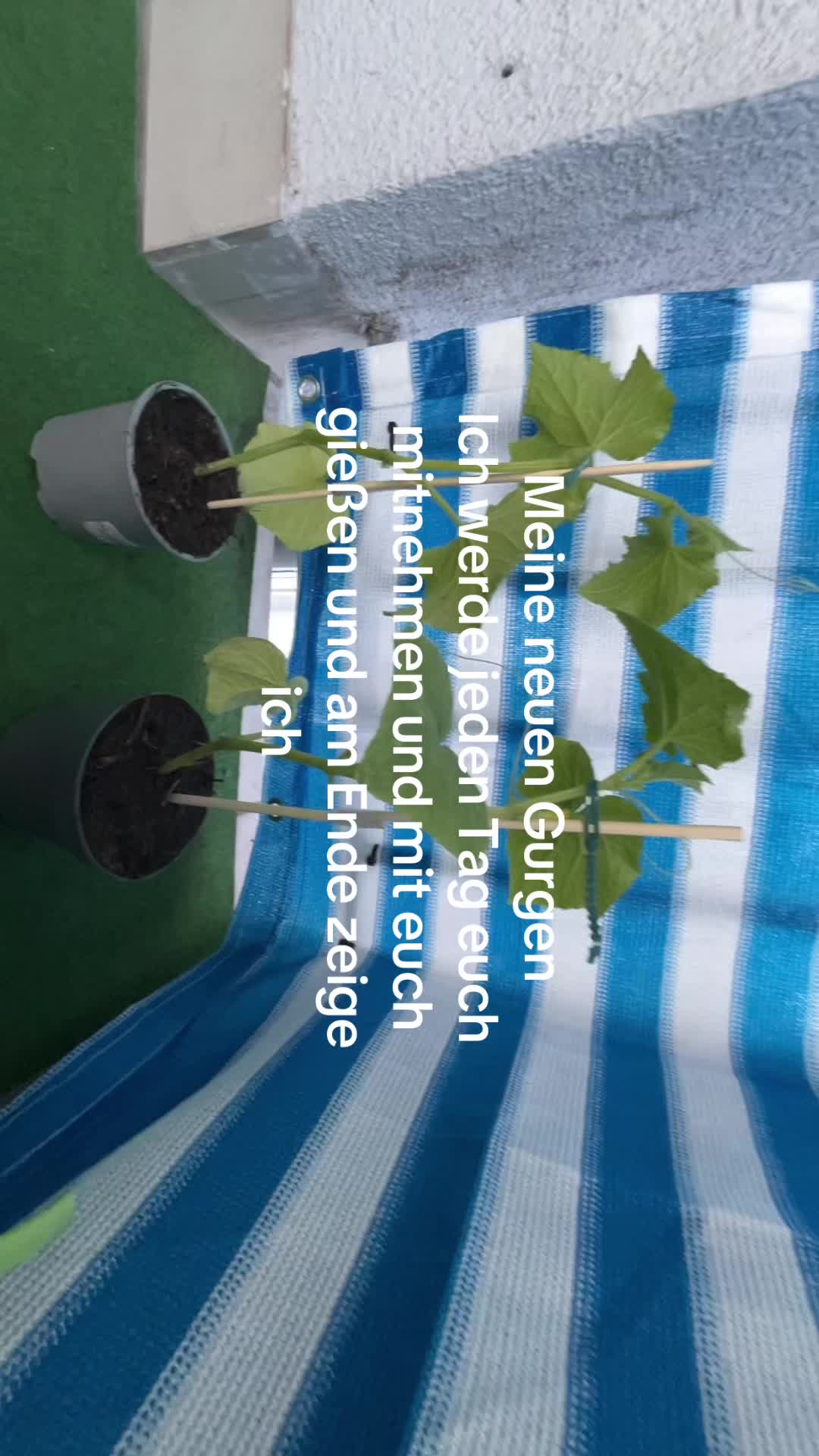 @Milana