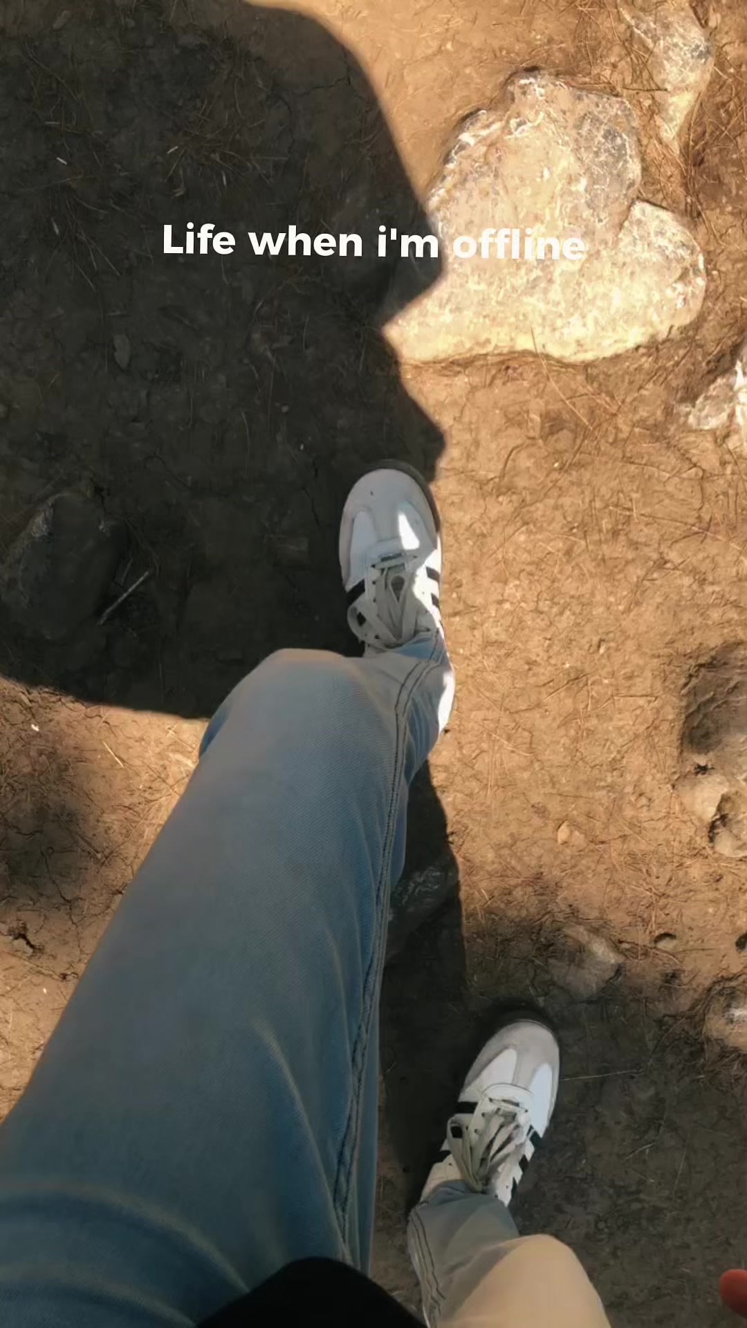 @ایوبیہ🌸