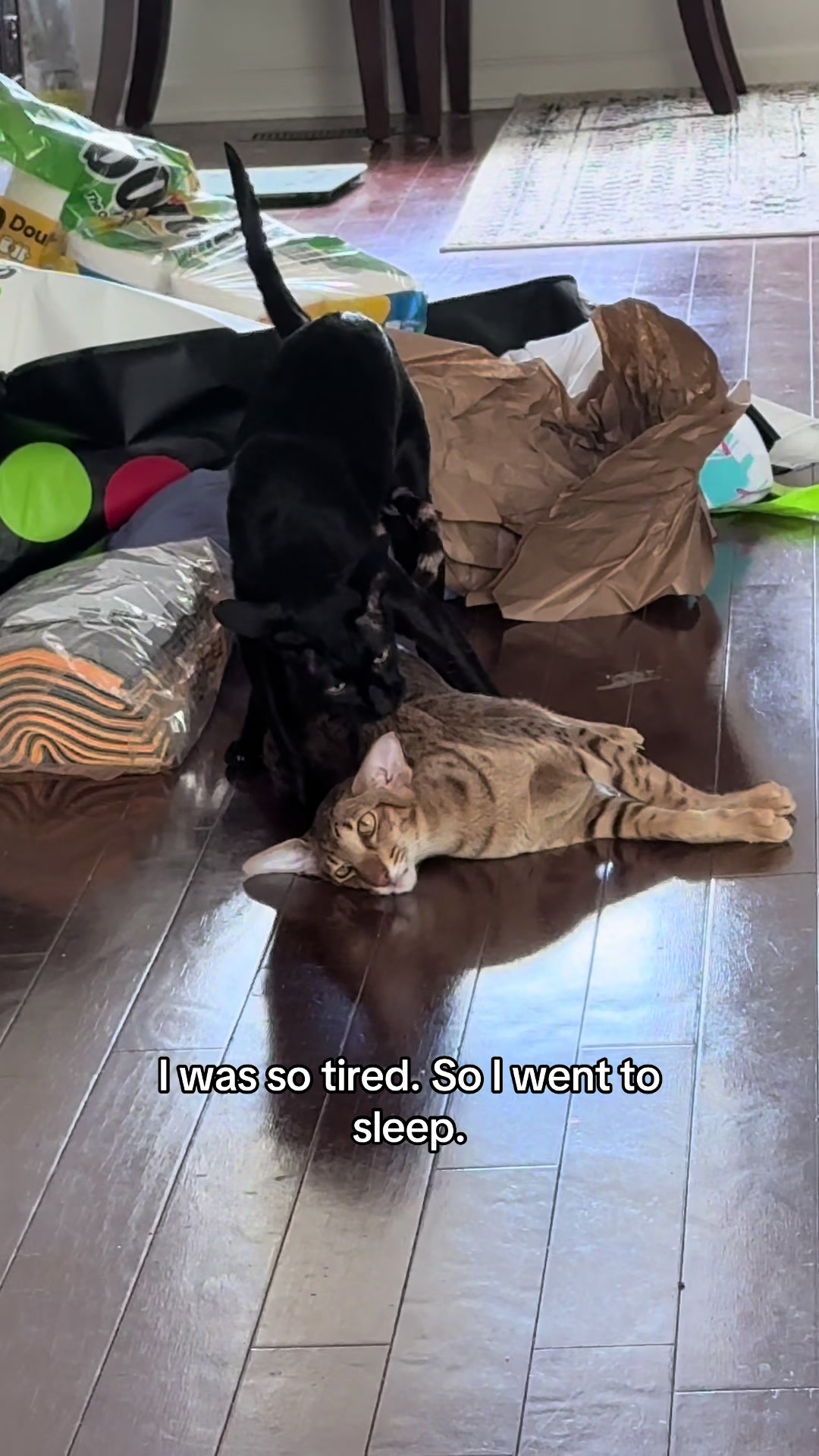 @hobbikats