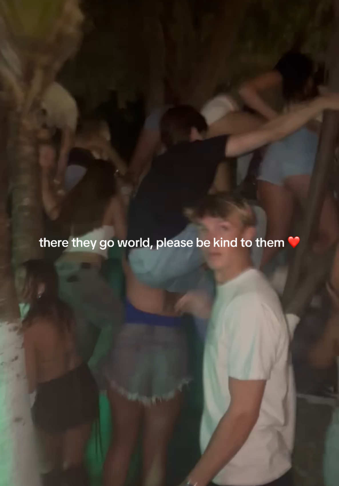 @ava gallagher