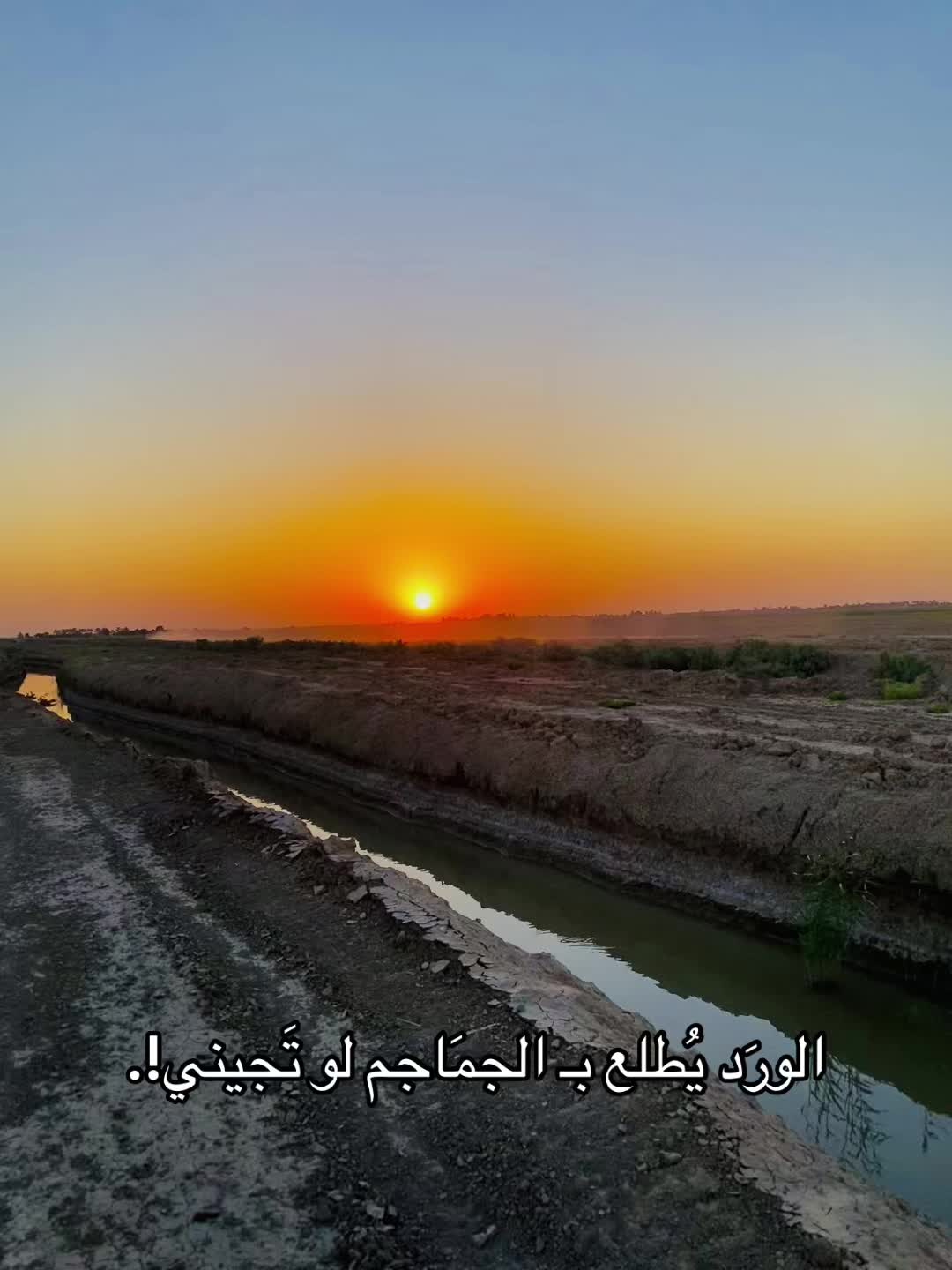 @﮼ذوالفقار ﮼حميد