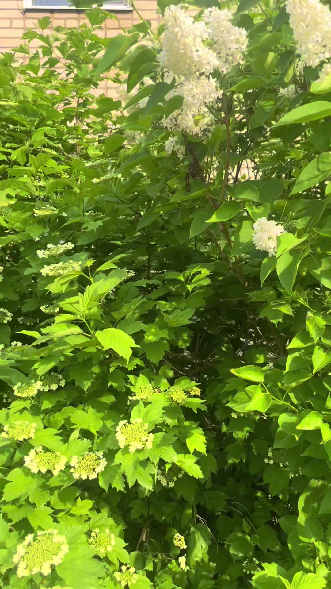 @Юлия