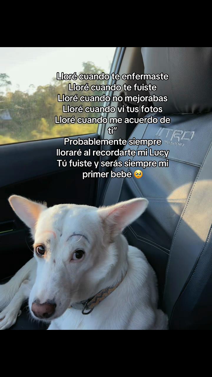@NÚÑEZ-🍉