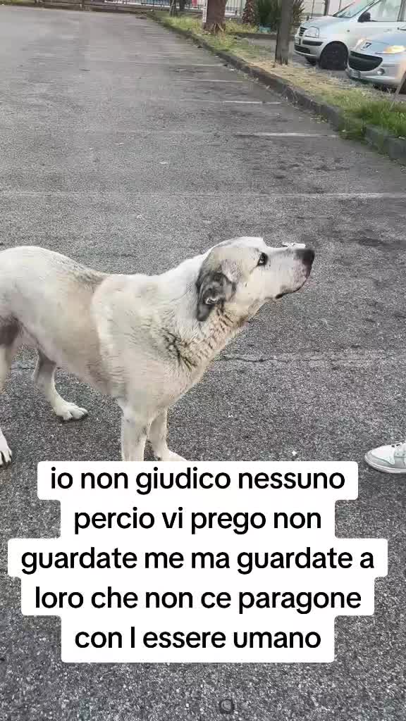 @Gina Boccia