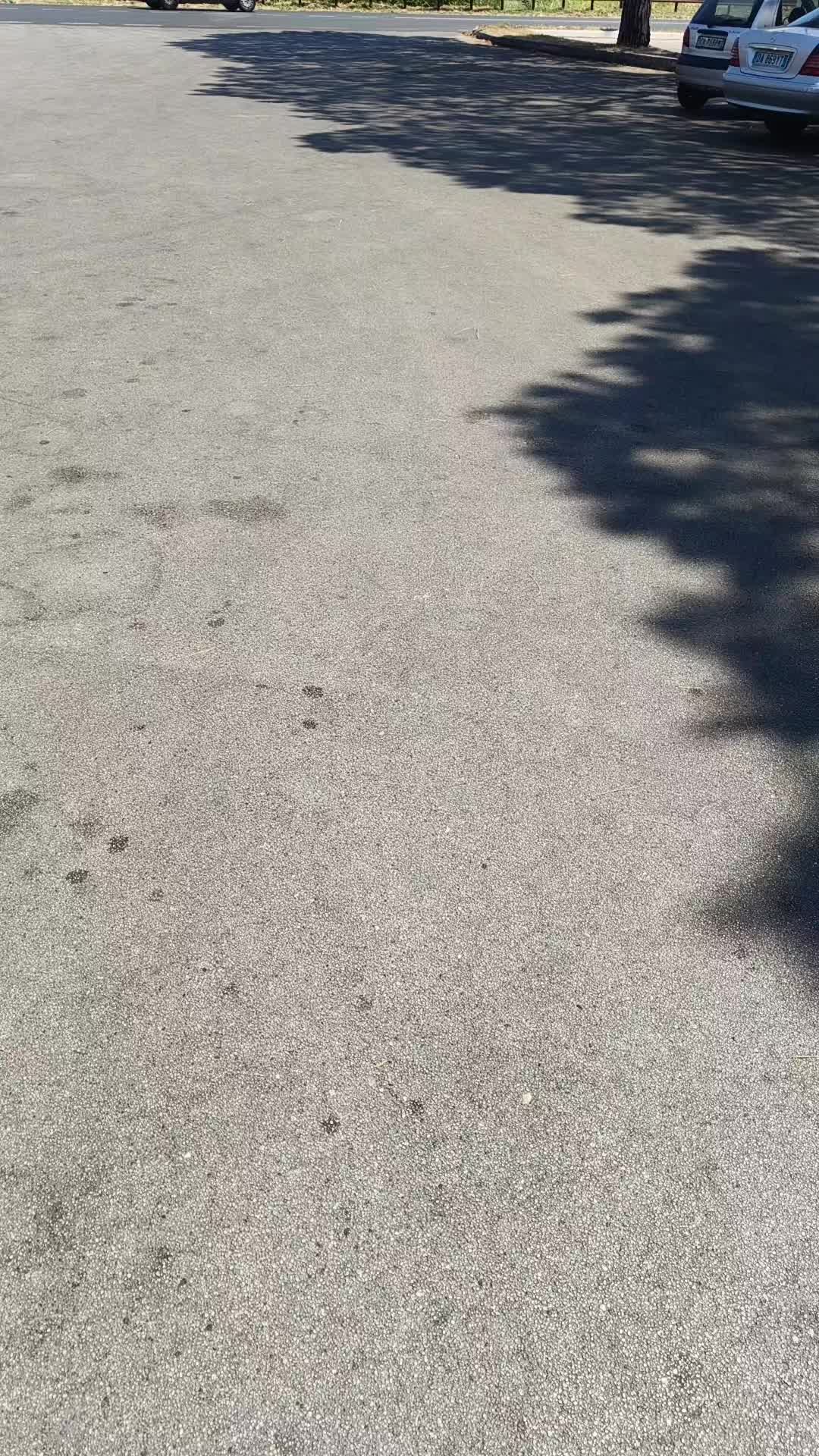 @Giovanni Pinto