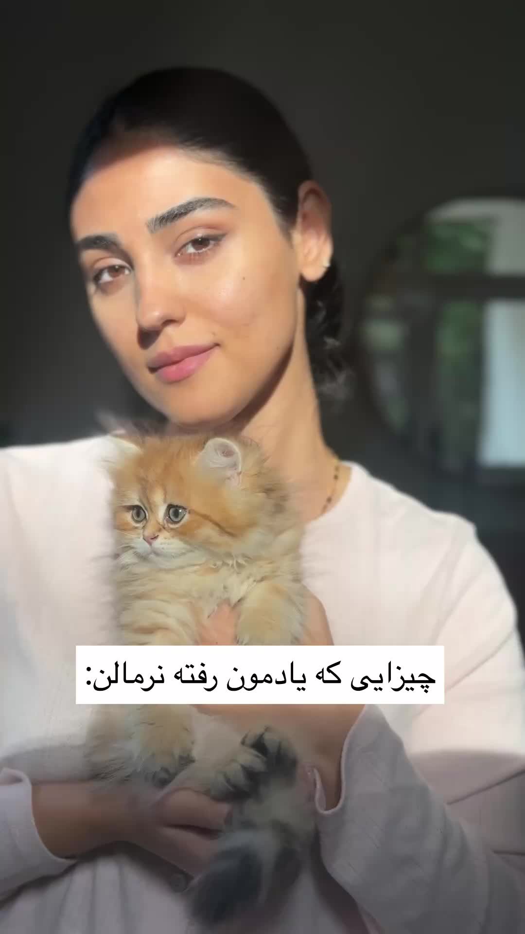 @Ramina Torabi