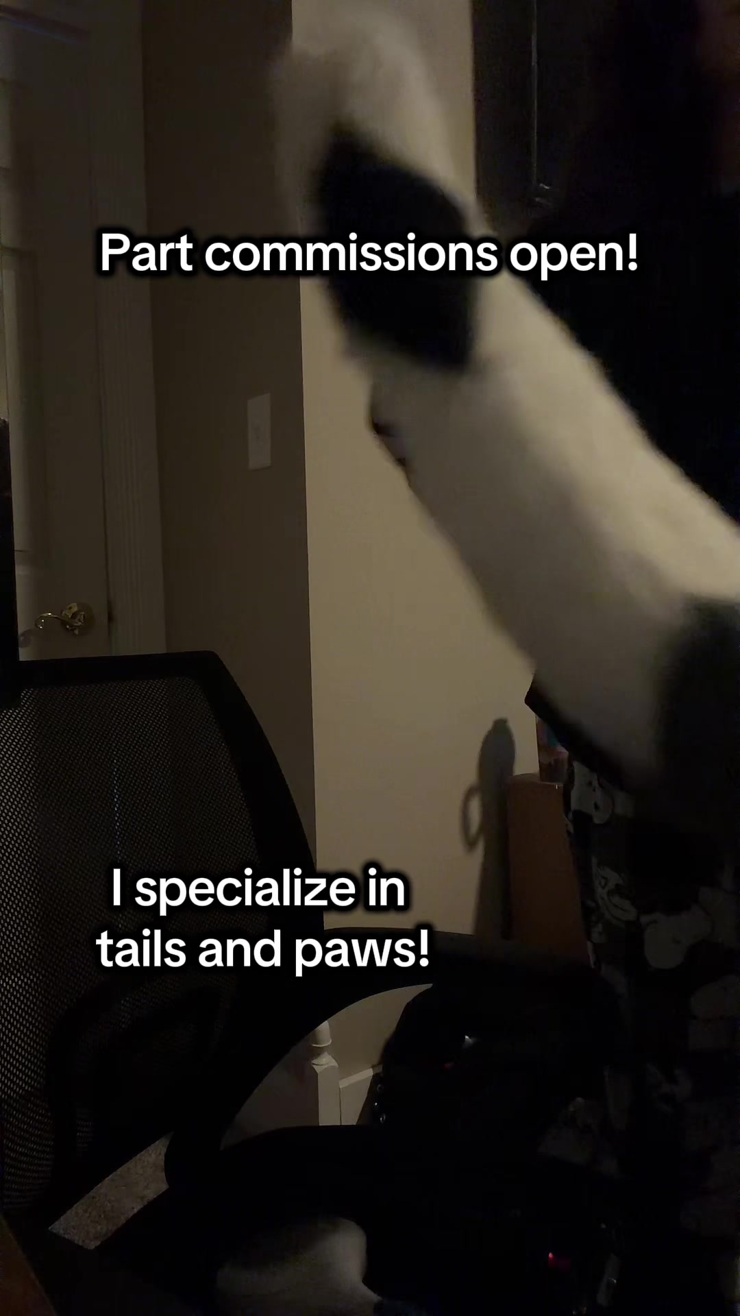 @CanineConfusion