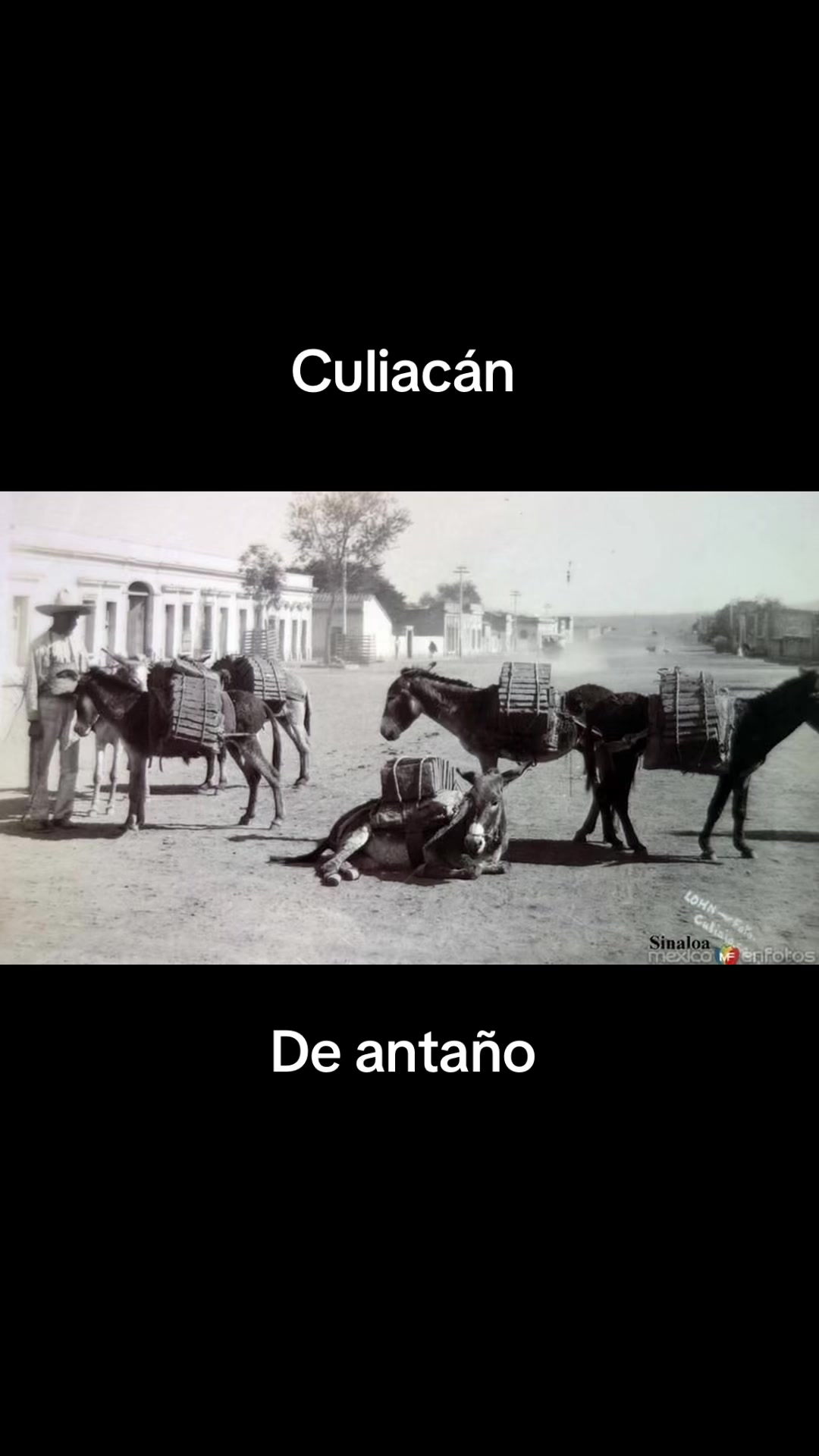 @mi rancho querido