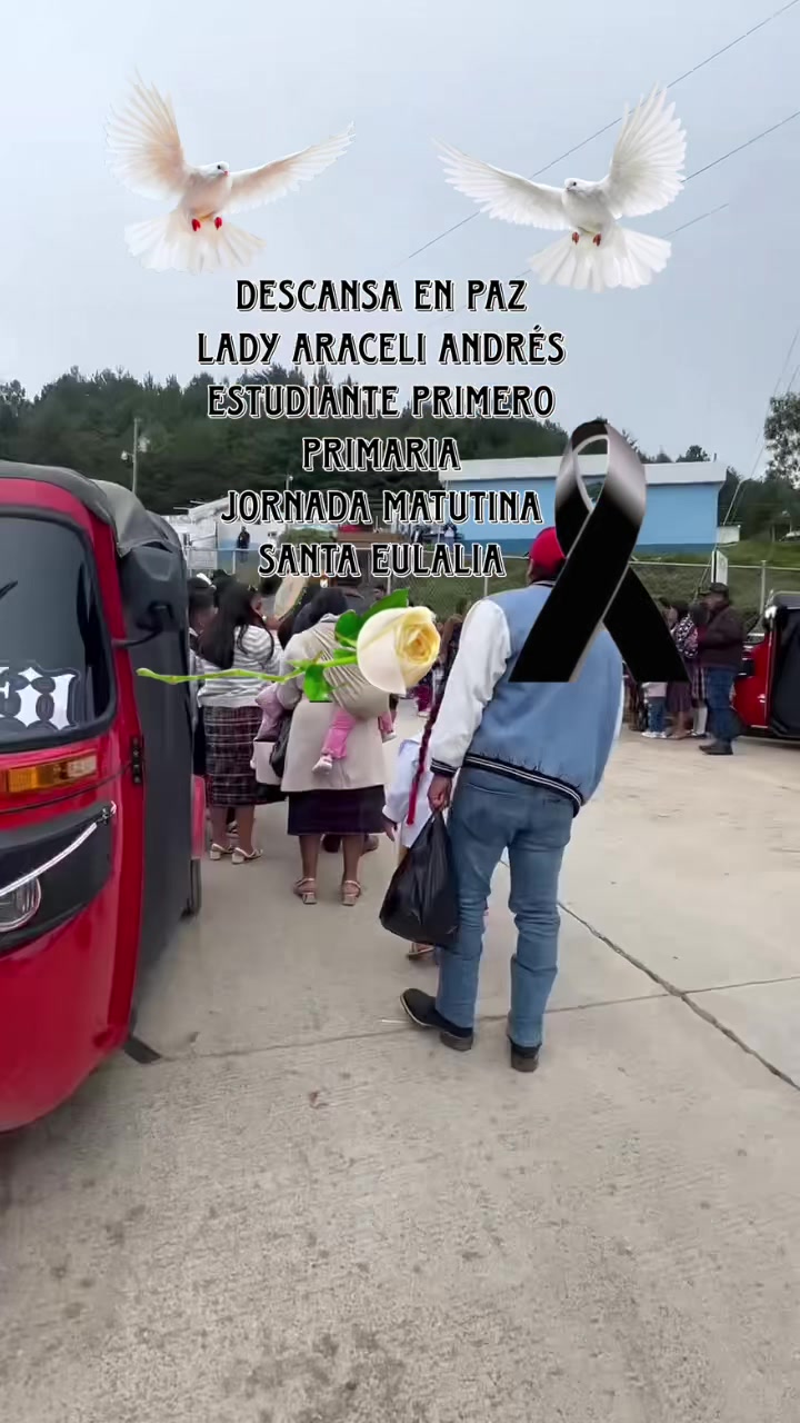 @💛💚Ismaelito💚💛