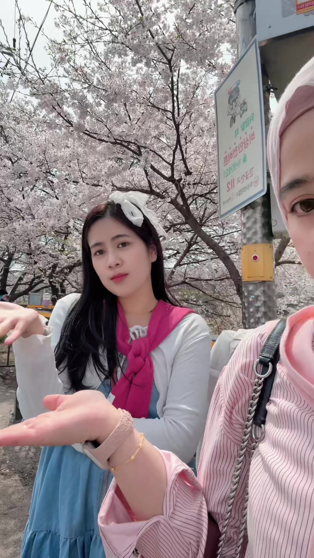 @ABEN MOBILE 🇰🇷🇮🇩🇹🇱