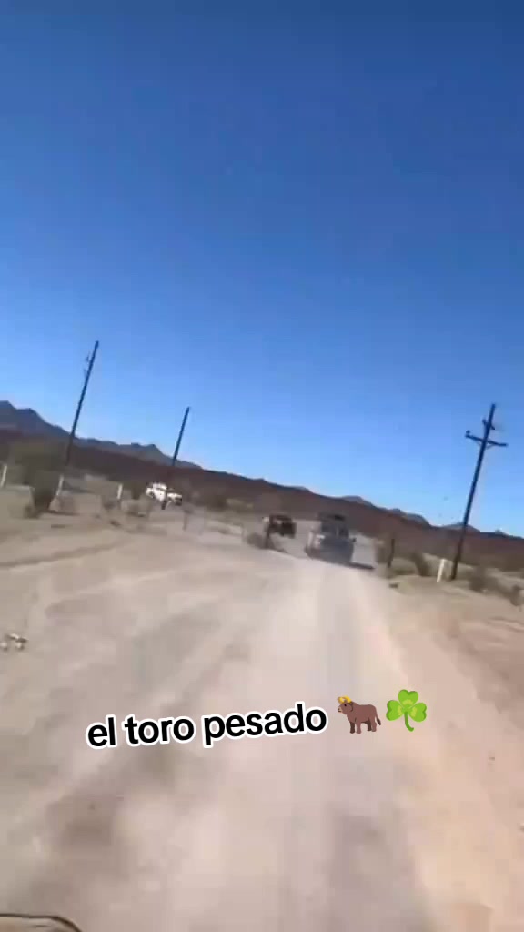 @el toro pesado 🐂☘️