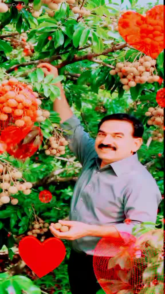 @Ashique Raza