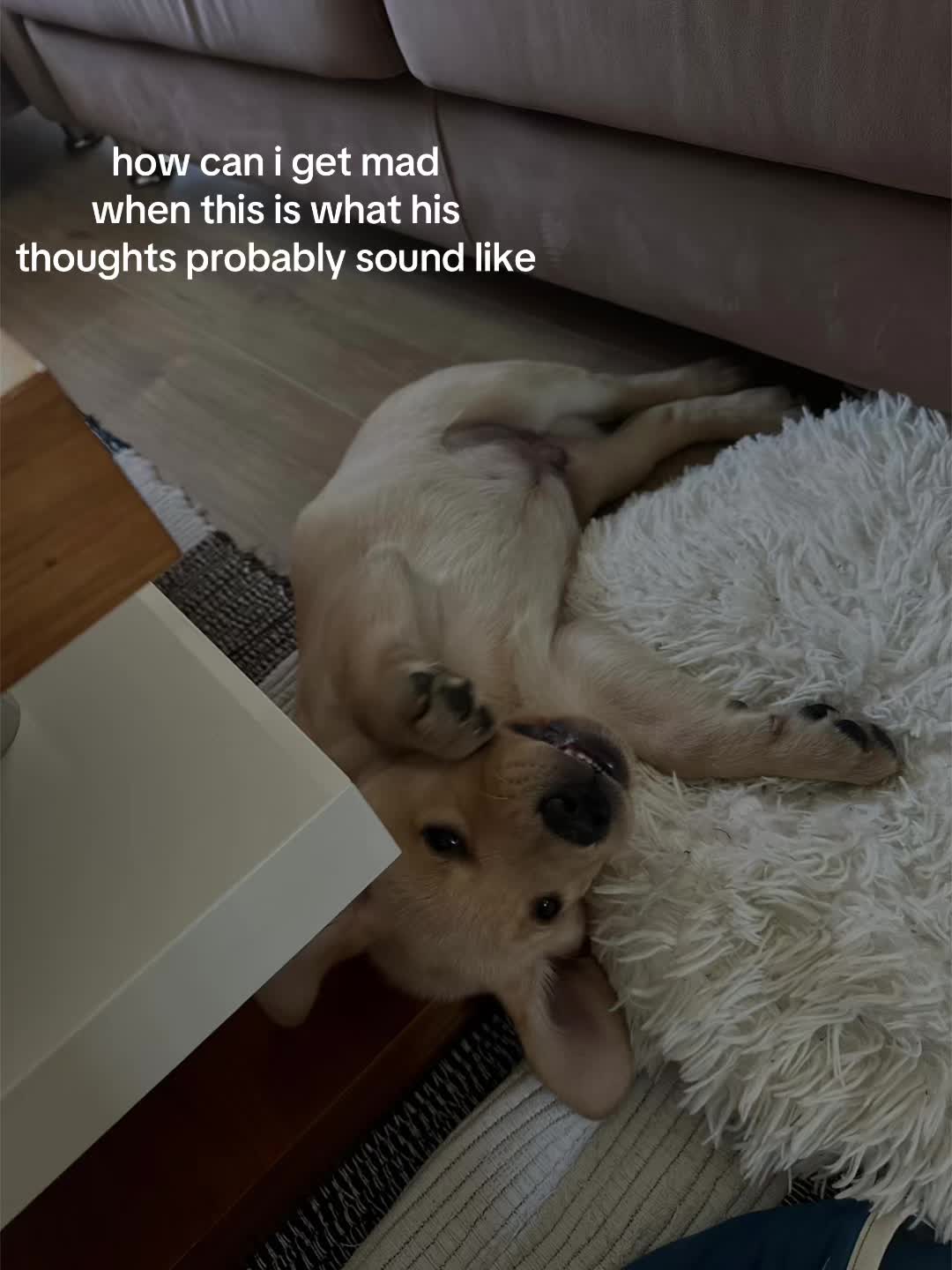@MM