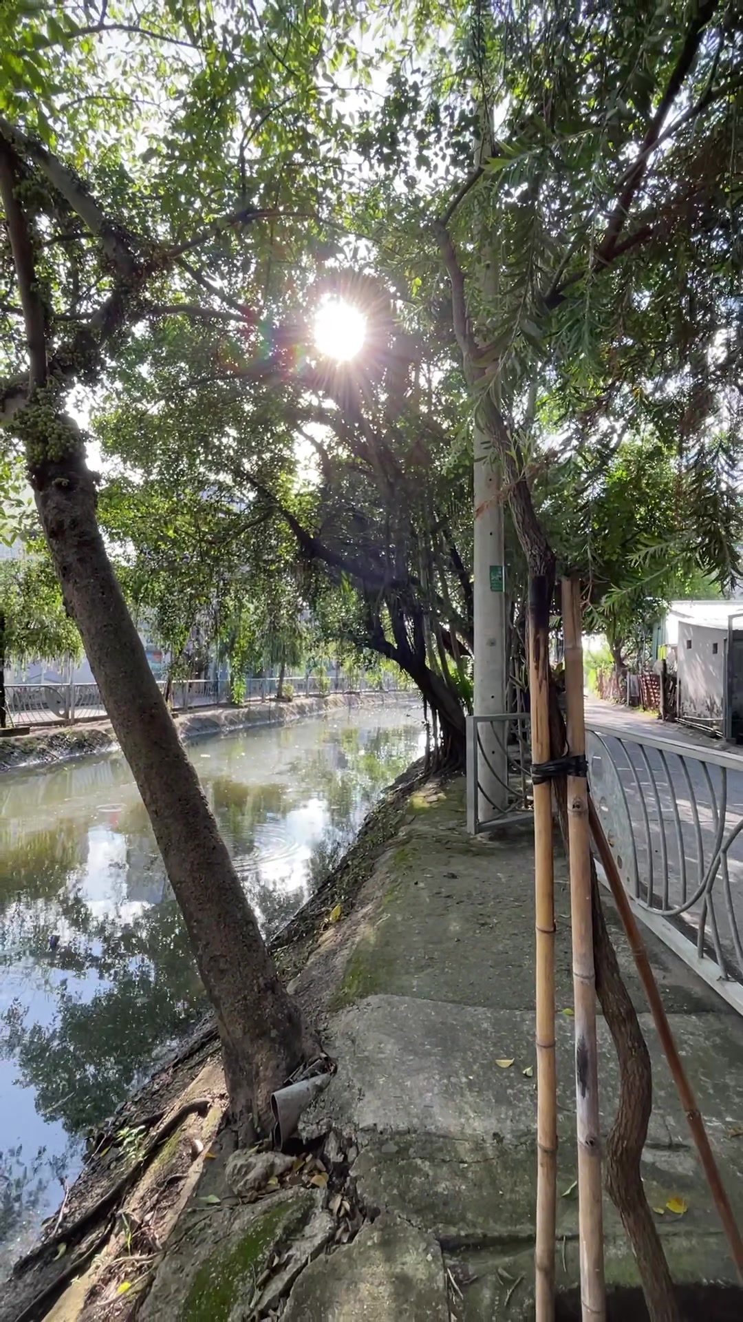 @hoangbinhduong
