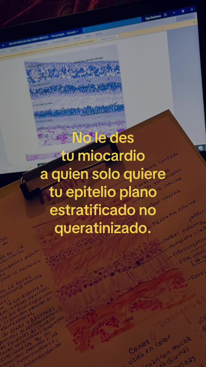 @Olgui ★