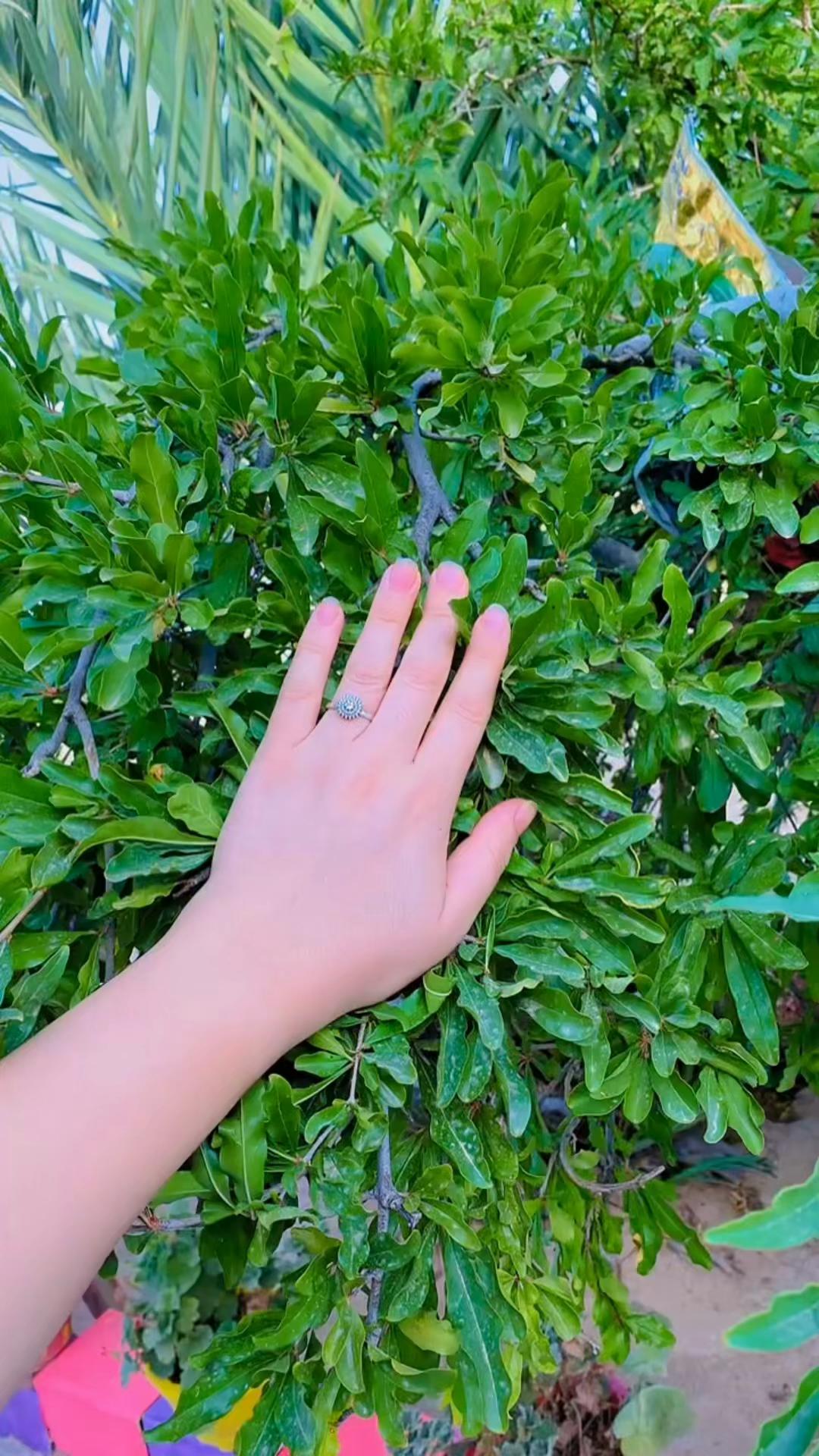 @rifiya rifiya