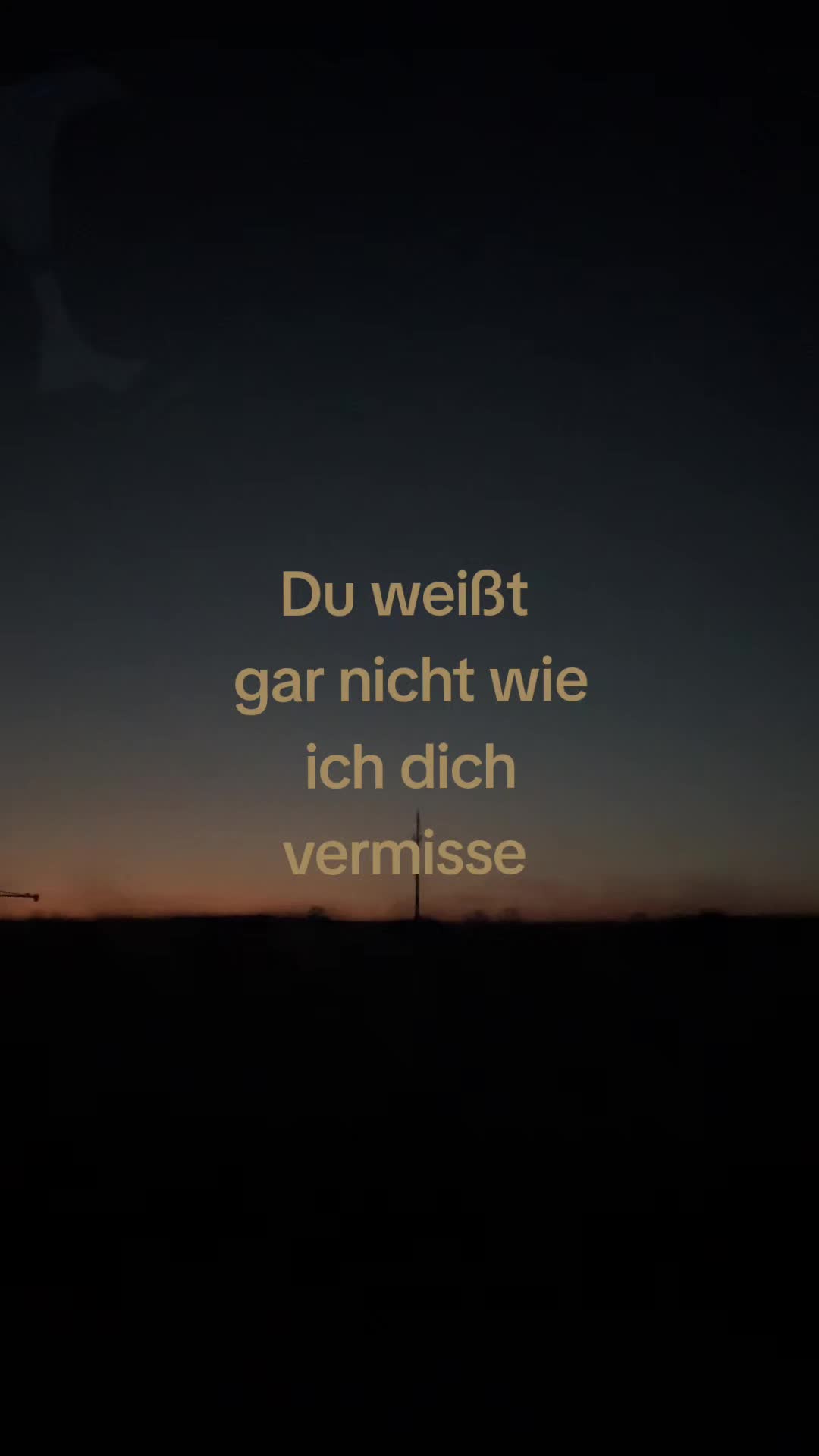 @dieleonyx