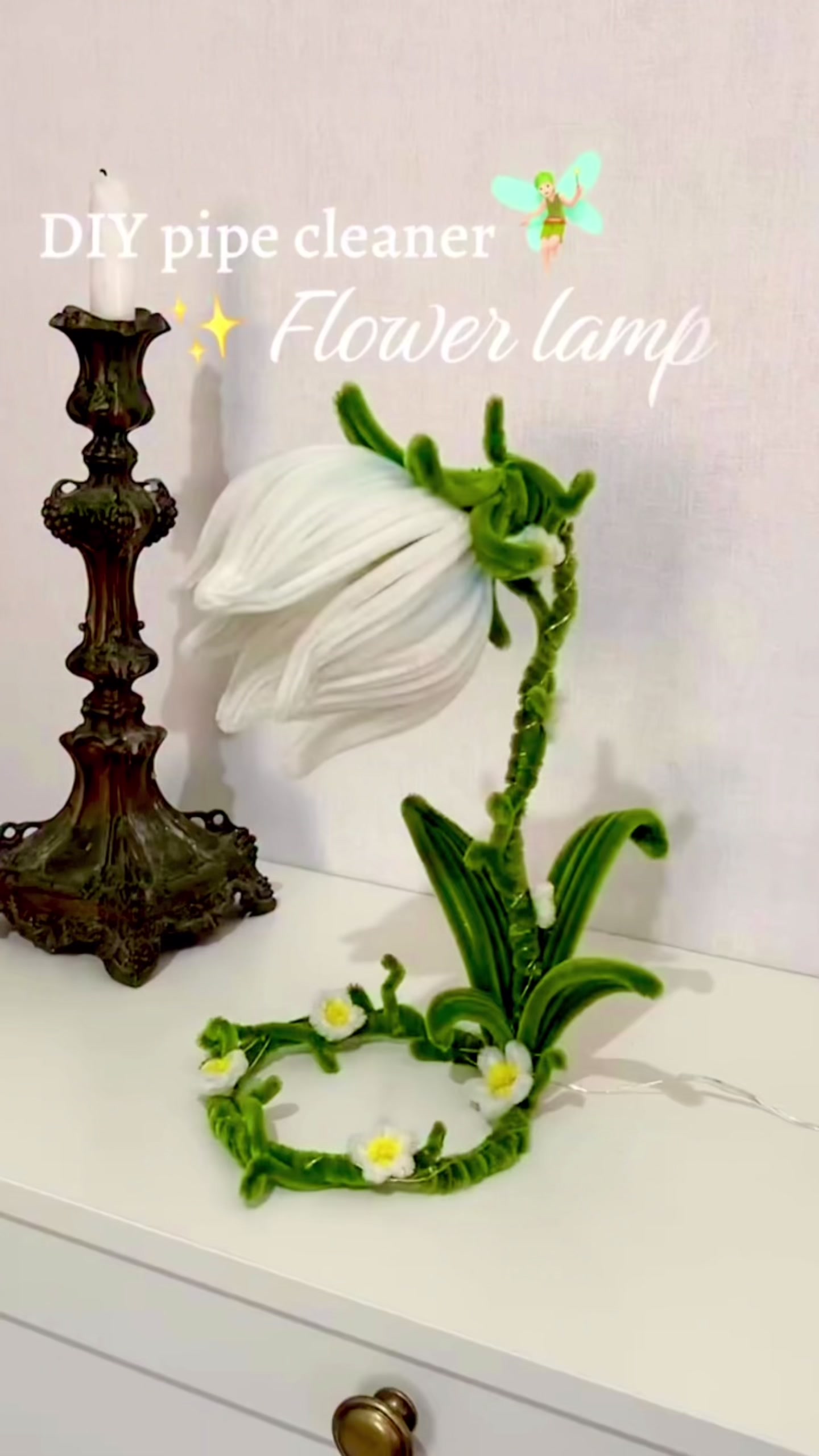 @bloomielab