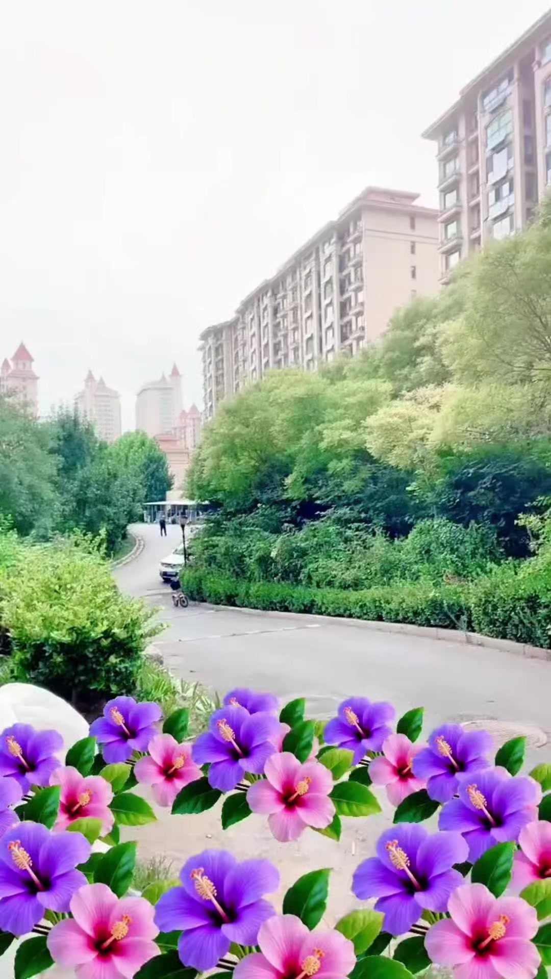 @王村美