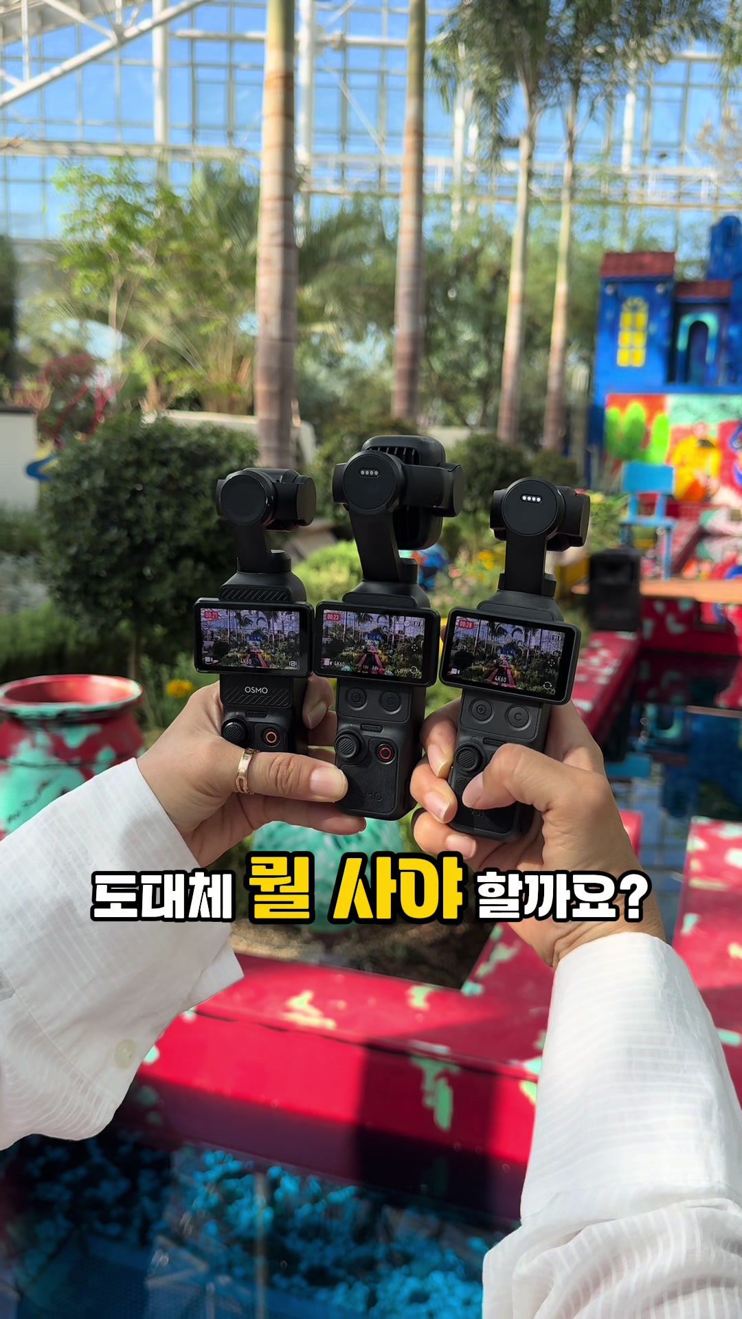 @킴보