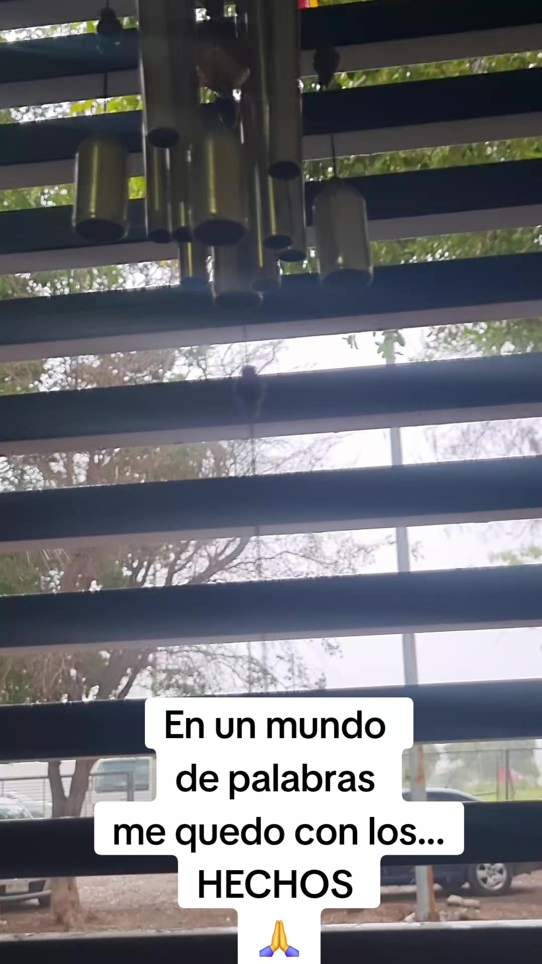 @devisdelosmochis