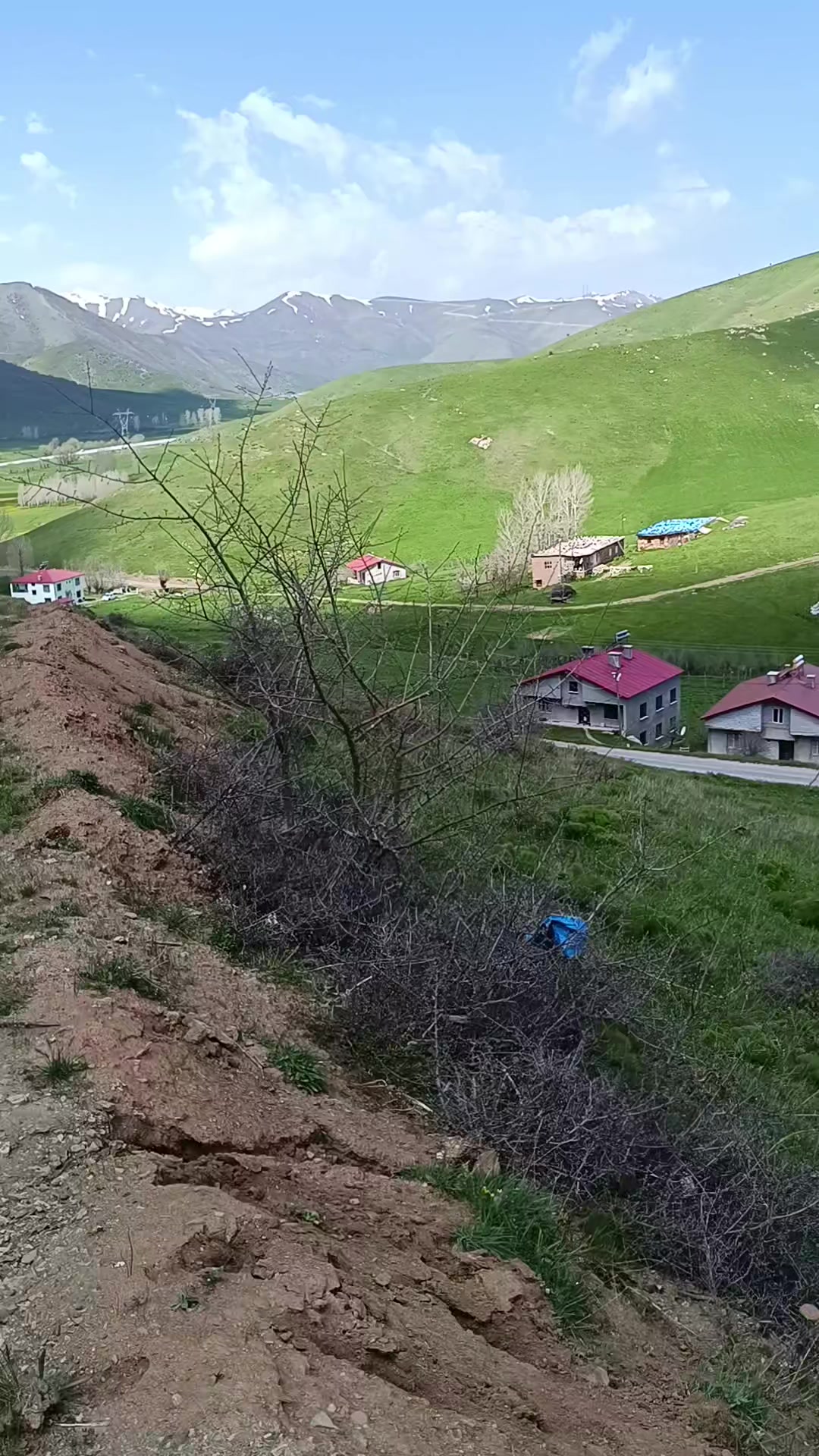 @mesuthallac