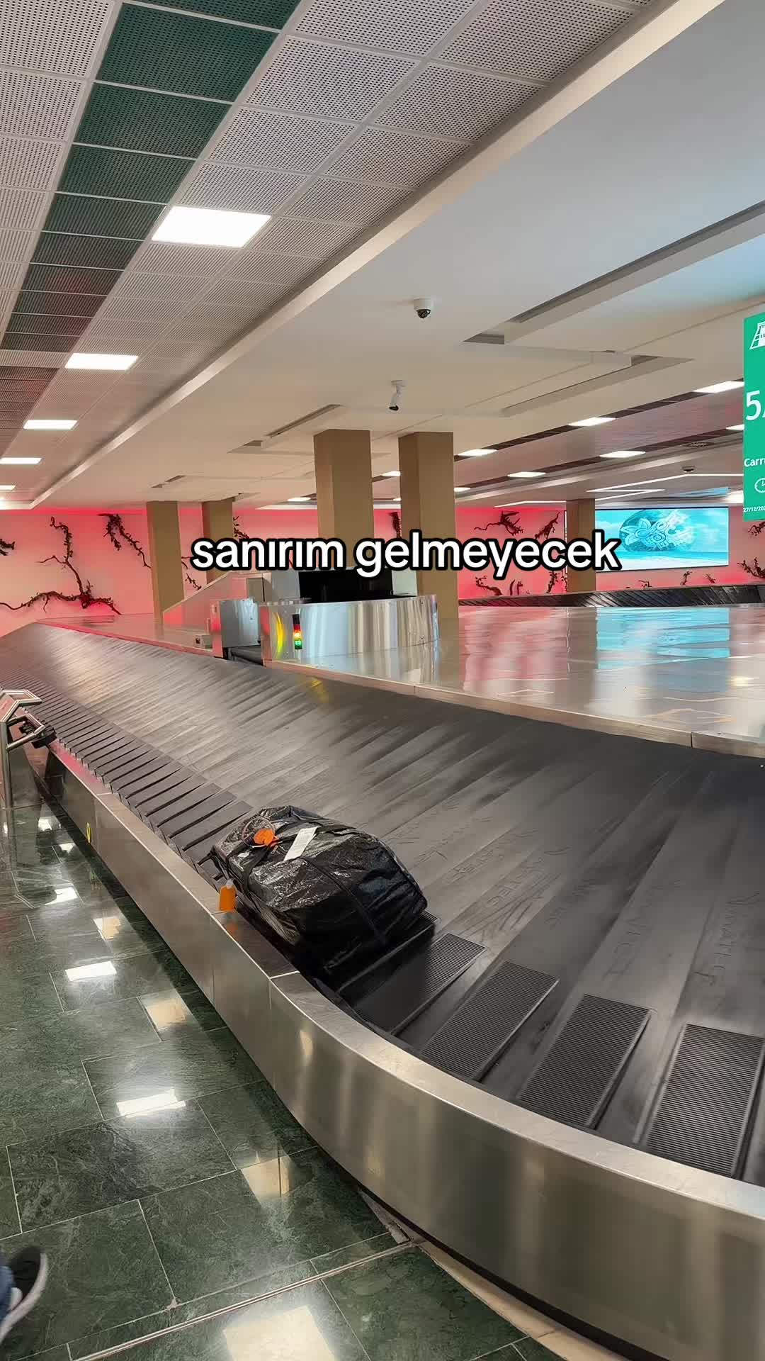 @zeynepalkan