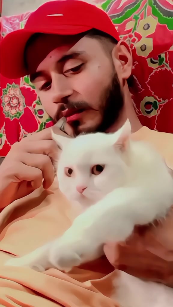 @♥ïžðŸðÙðð ðððÚ¯♥ïž