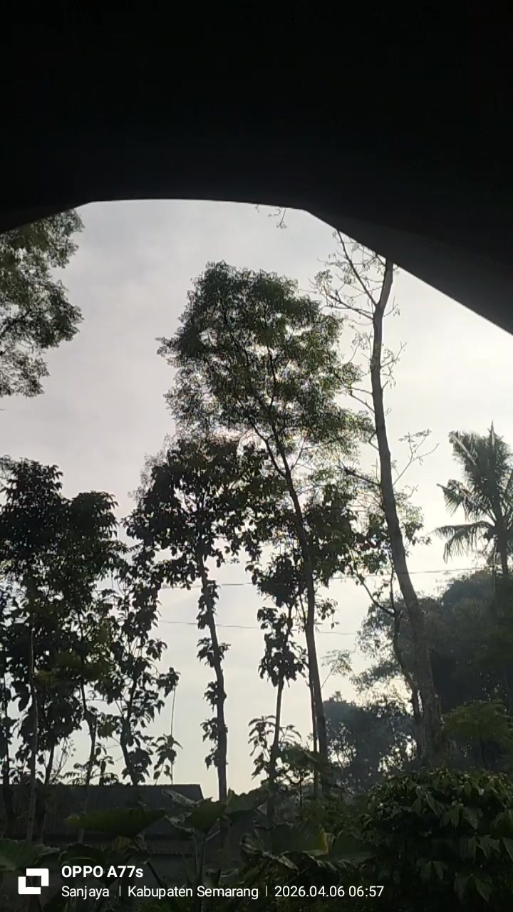 @Dwi Nugroho