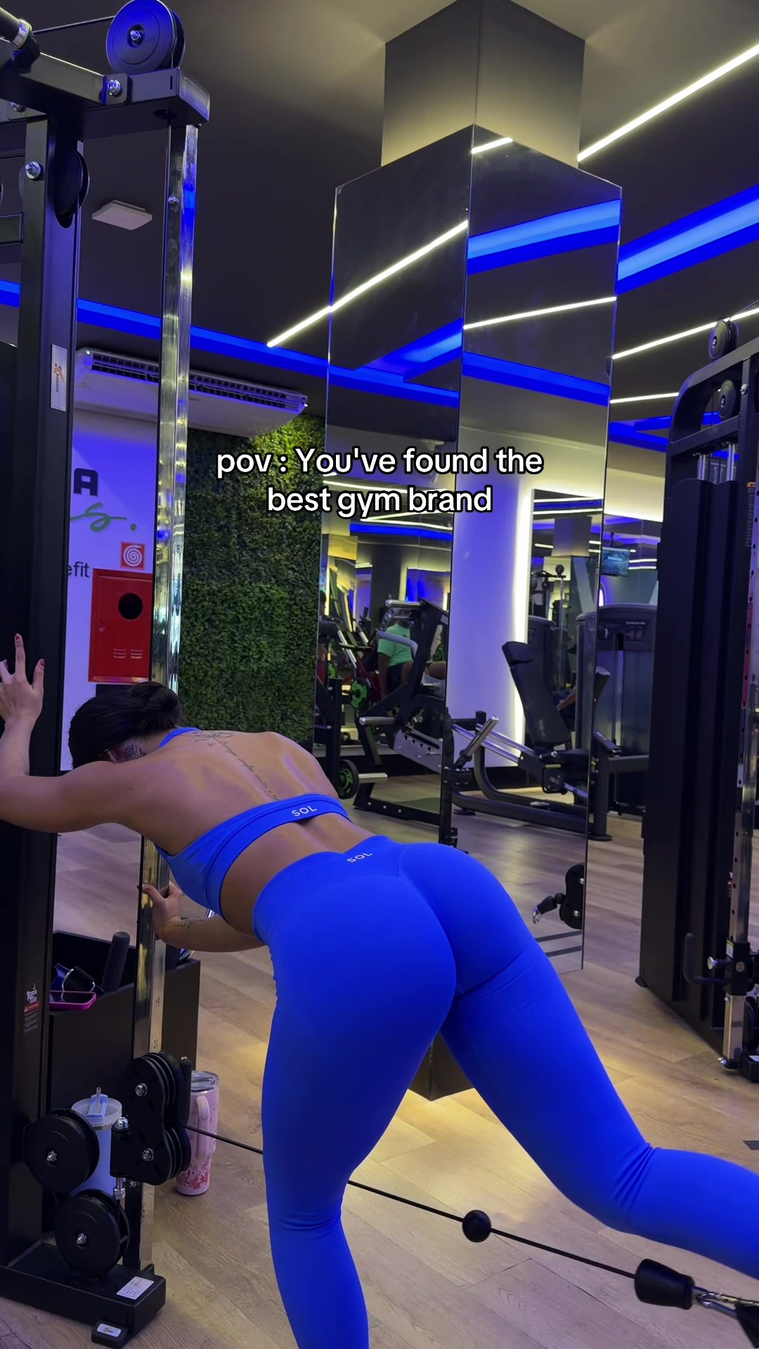 @Marisol