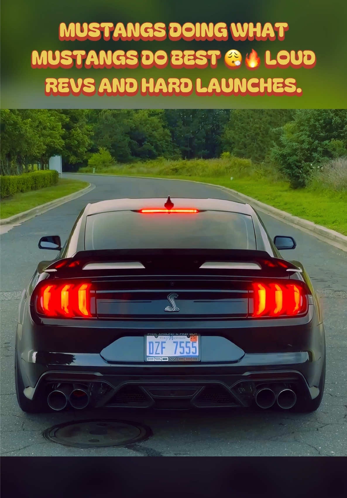 @Muscle Cars
