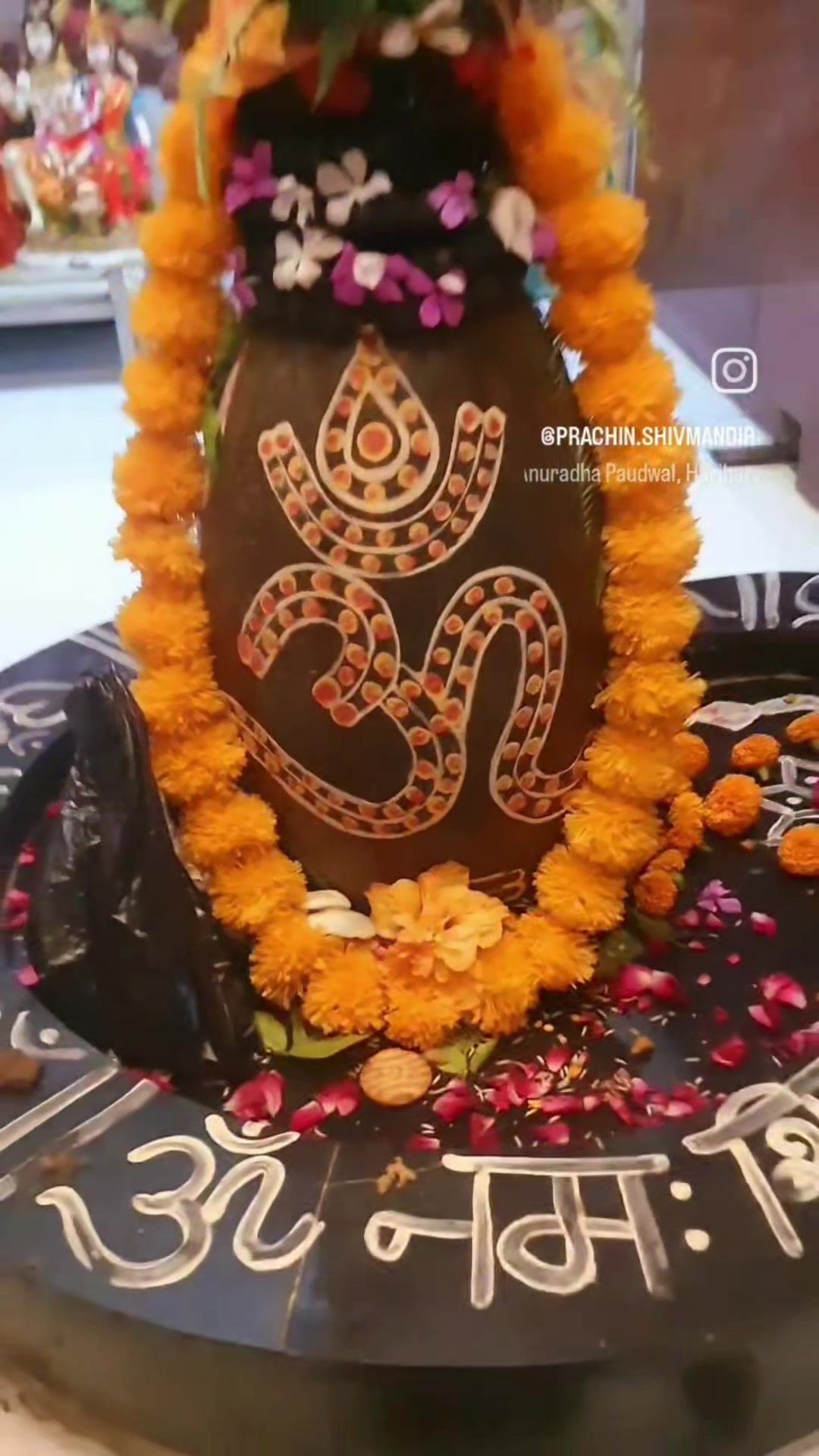 @teji_shahzadpuri