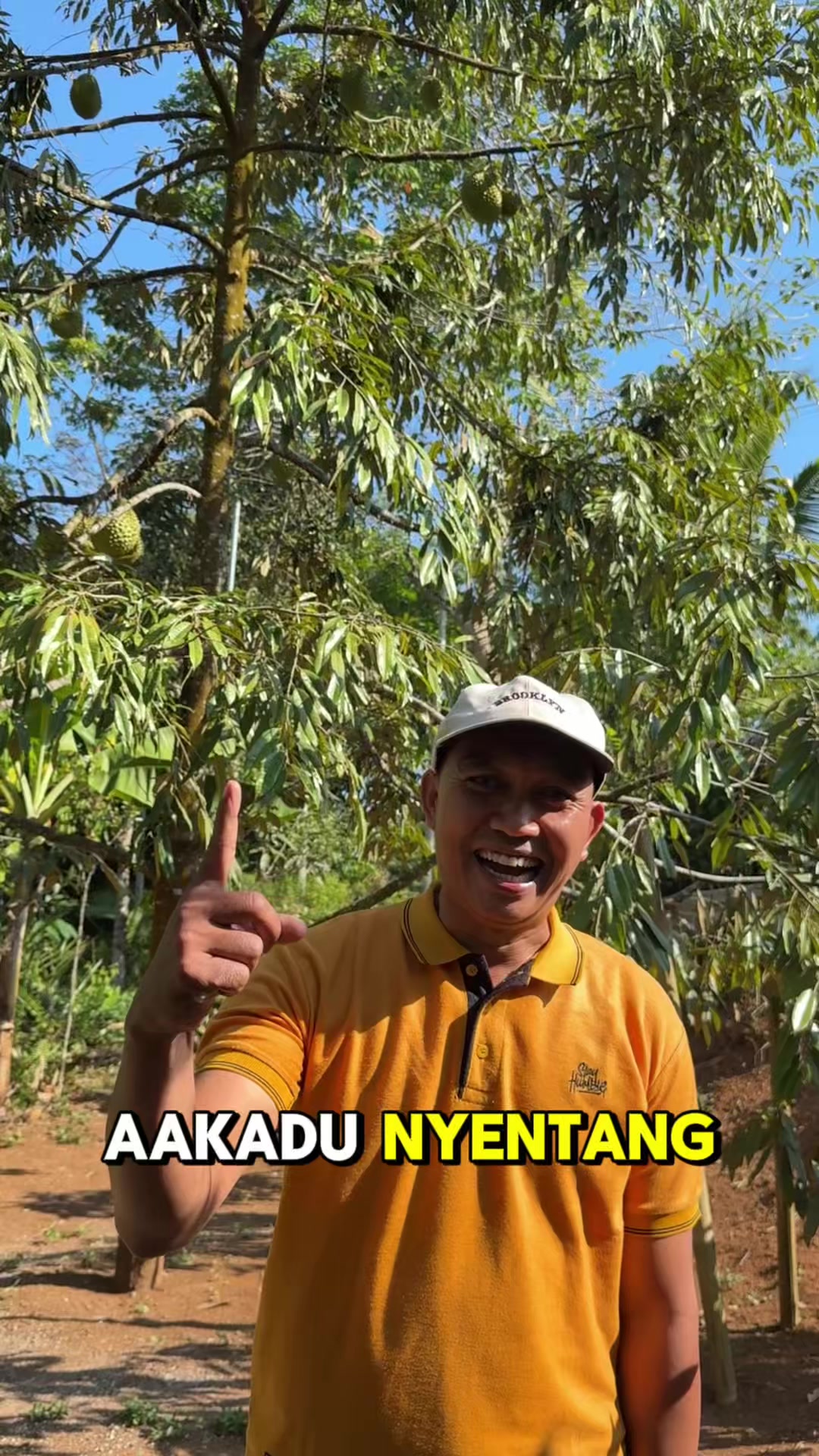 @AA KADU